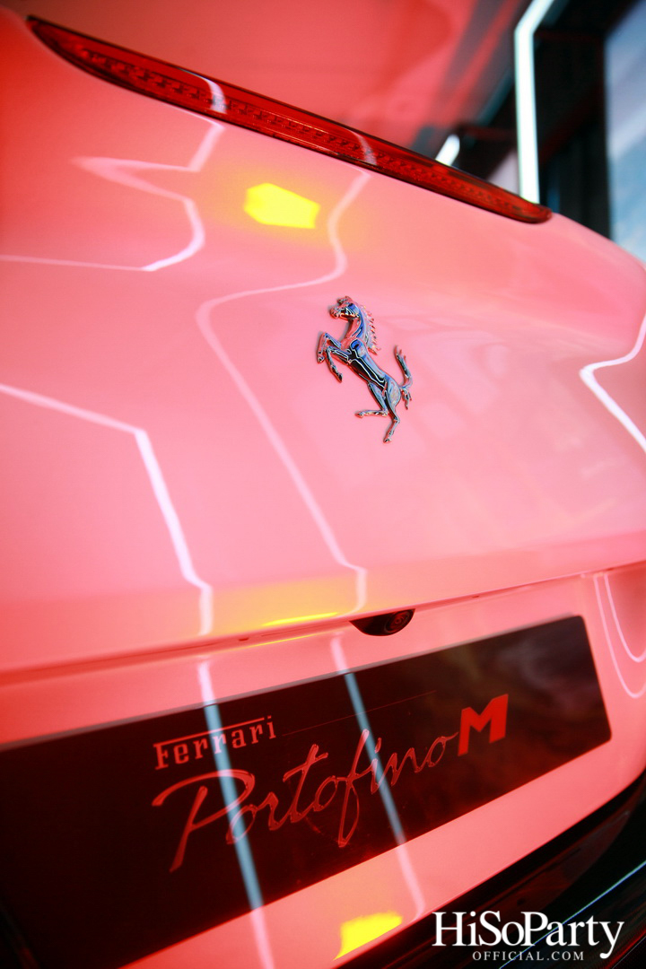 HiSoParty x Cavallino Motors