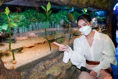 ‘Rock Pool Explorer...แอ่งหินเรียนรู้’ โซนใหม่ล่าสุดจาก ซีไลฟ์ แบงคอก