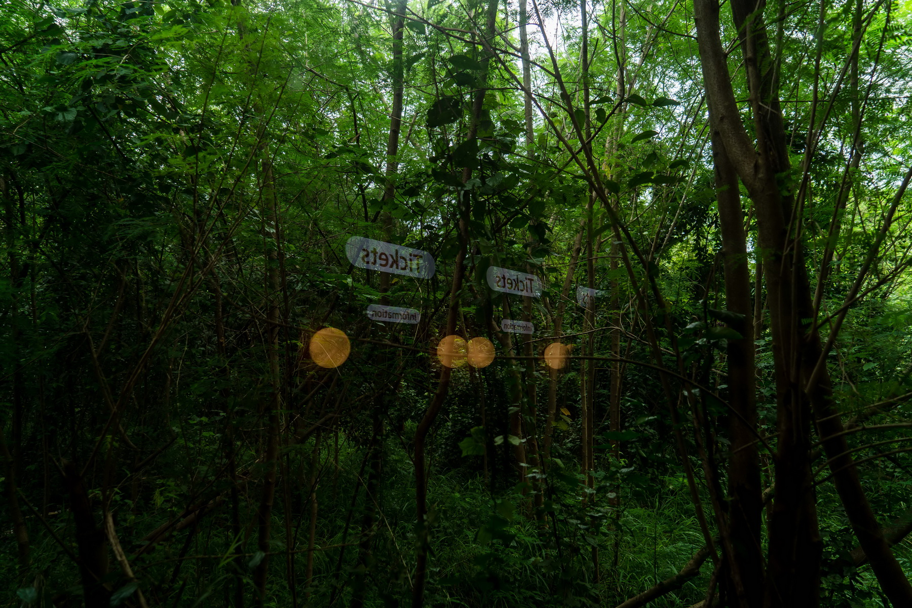 Grand Opening House of Benedict Pattaya