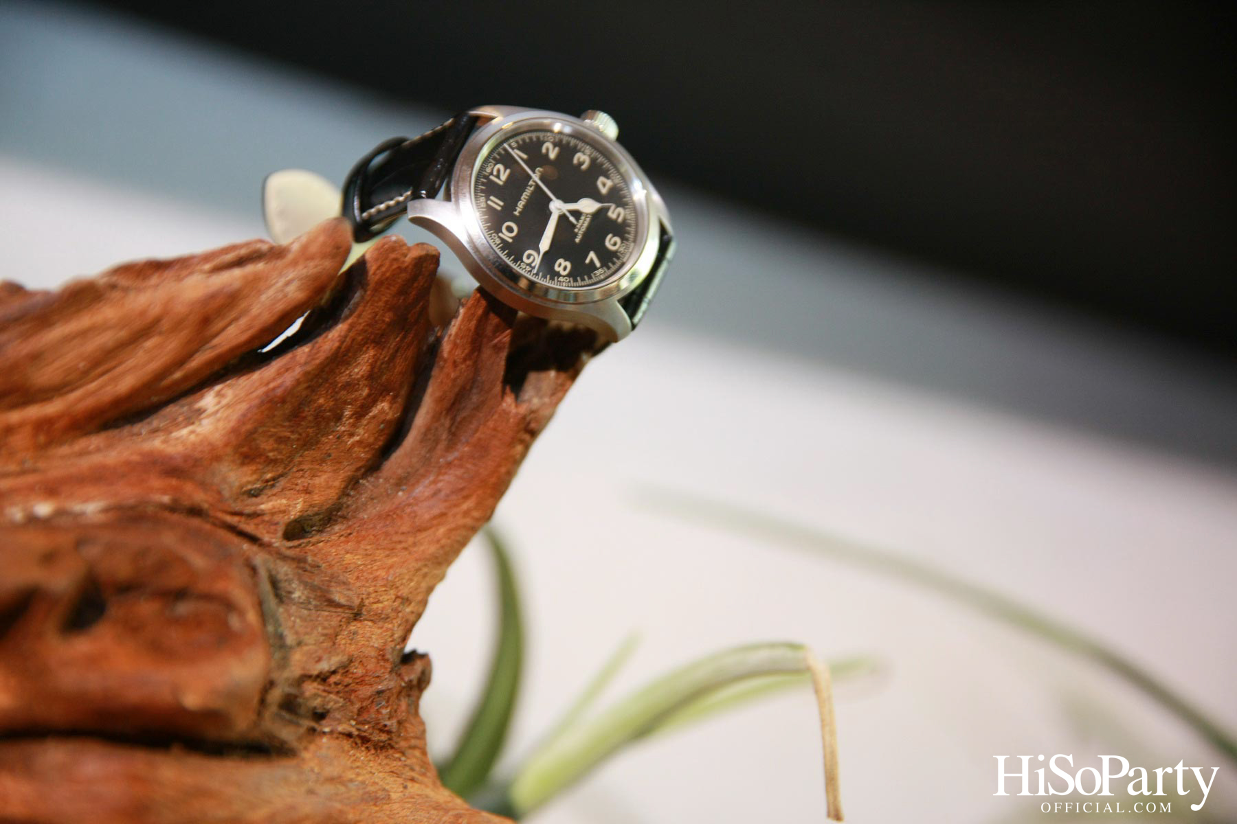 Hamilton จัดเปิดตัวคอลเลกชั่นสุดยิ่งใหญ่ส่งท้ายปี