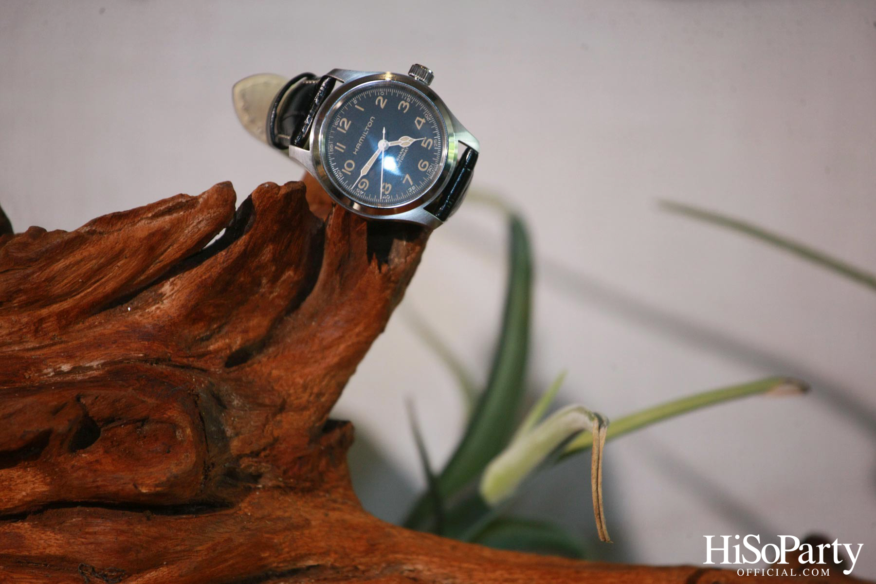 Hamilton จัดเปิดตัวคอลเลกชั่นสุดยิ่งใหญ่ส่งท้ายปี