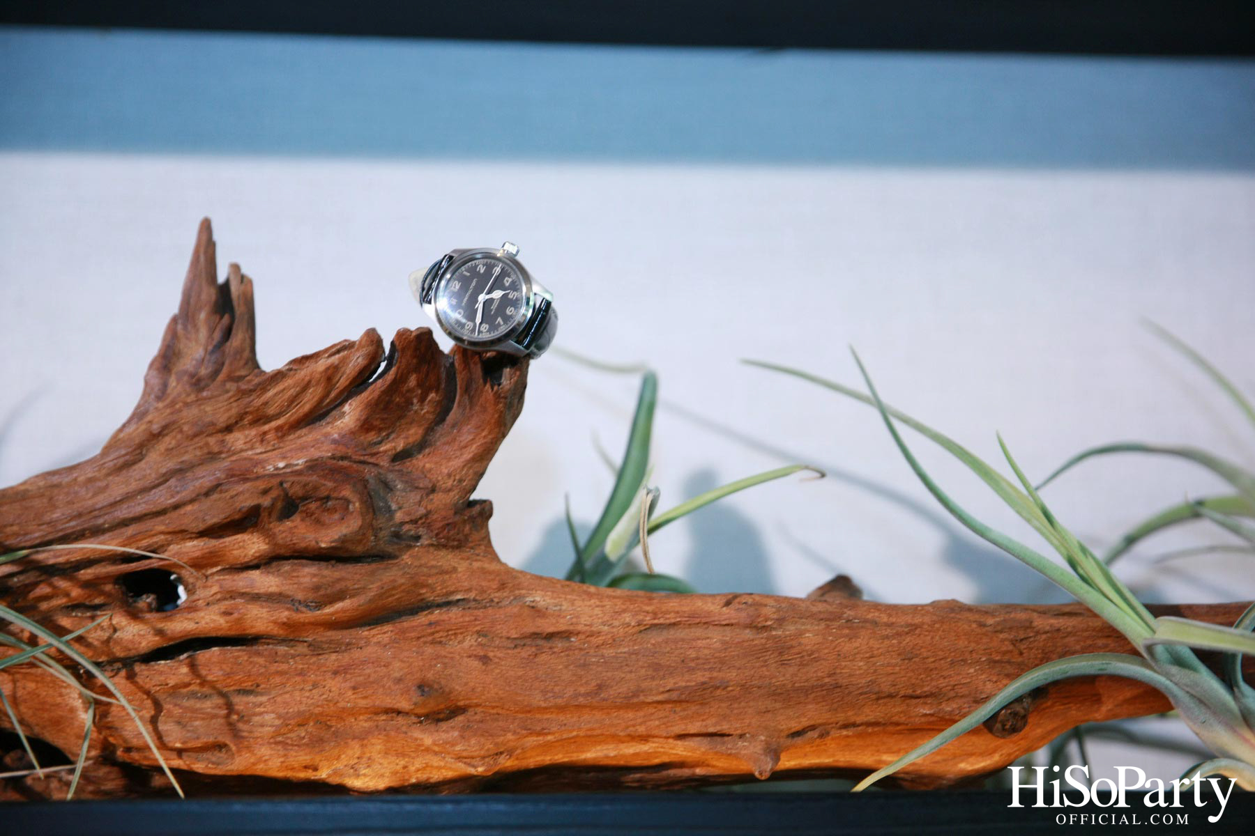 Hamilton จัดเปิดตัวคอลเลกชั่นสุดยิ่งใหญ่ส่งท้ายปี