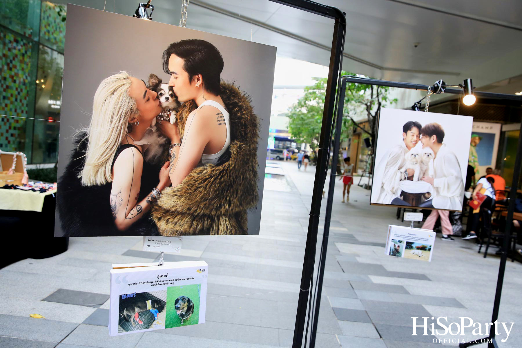 DR.MANIE : FRIENDS OF THE VOICE CHARITY กิจกรรมระดมทุนช่วยเหลือน้องหมาแมว ที่ ดิ เอ็มควอเทียร์