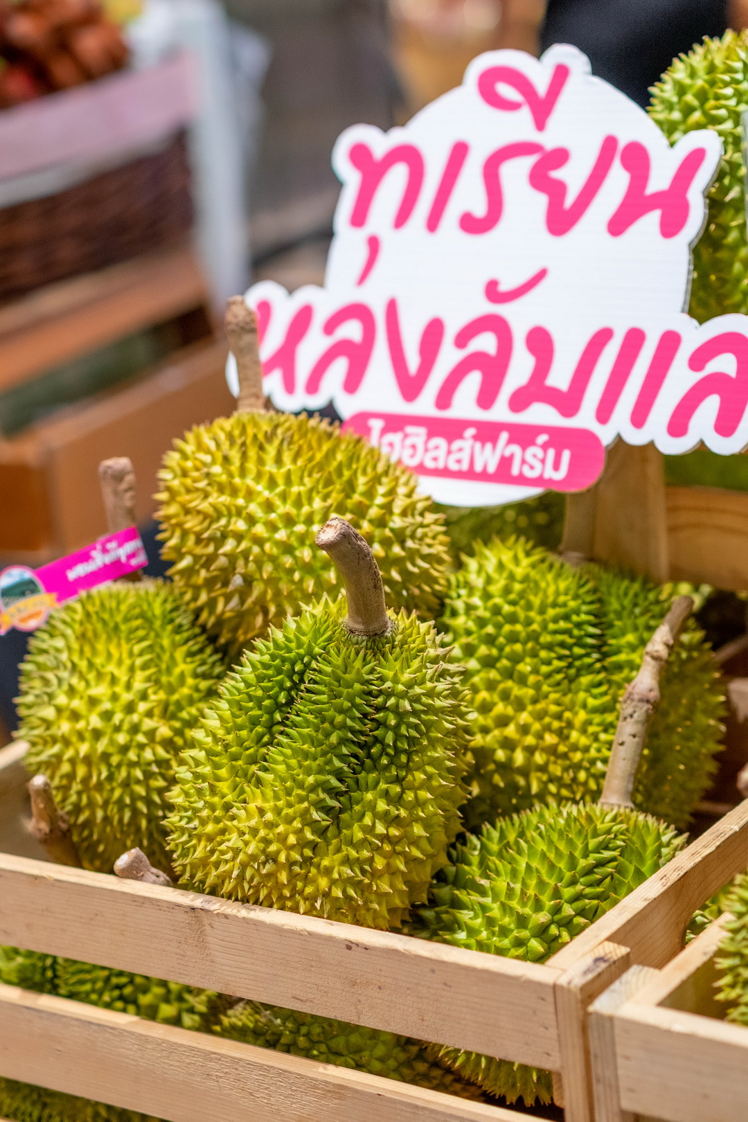 ไอคอนสยาม ส่งตรงผลไม้ฤดูร้อนเกรดพรีเมี่ยมจากสวนผลไม้ทั่วประเทศ มาไว้ที่เดียร์ทัมมี่ ไลฟ์สไตล์ซูเปอร์มาร์เก็ต และเมืองสุขสยาม ชั้น G