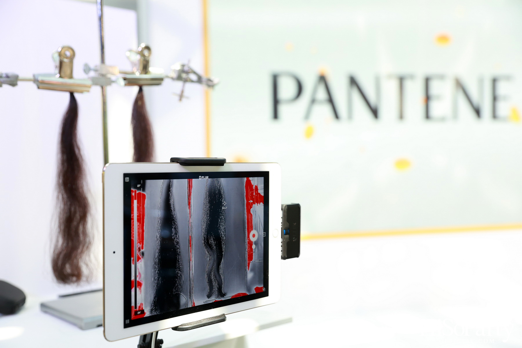 ‘PANTENE: The Final Bottle’ ฉลองเปิดตัวสูตรใหม่ในรอบ 4 ปี