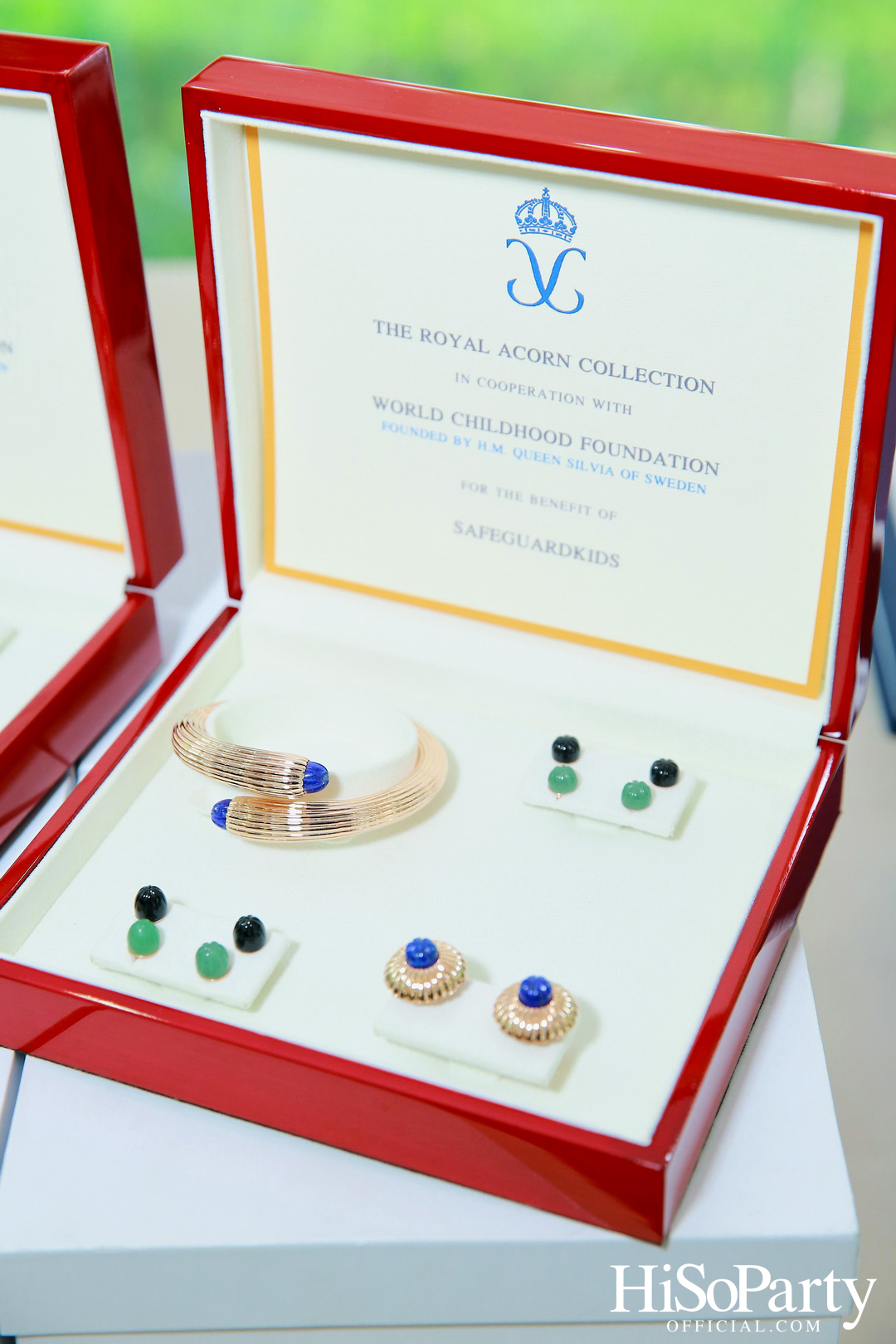 THE EXHIBITION OF CHILDREN PROJECT AND ACORN SIT-DOWN DINNER FOR DONATION