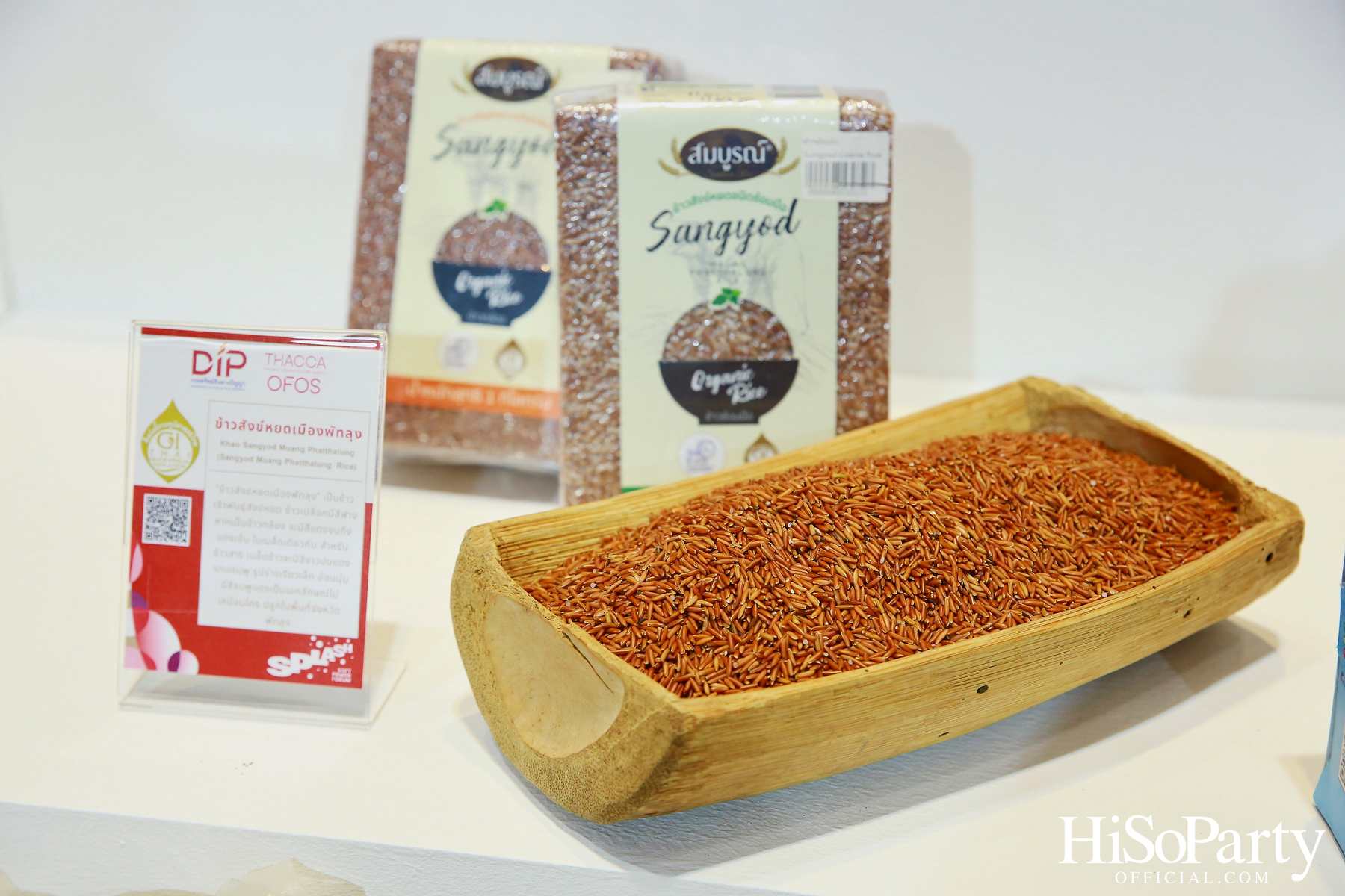 THACCA SPLASH - Soft Power Forum 2024