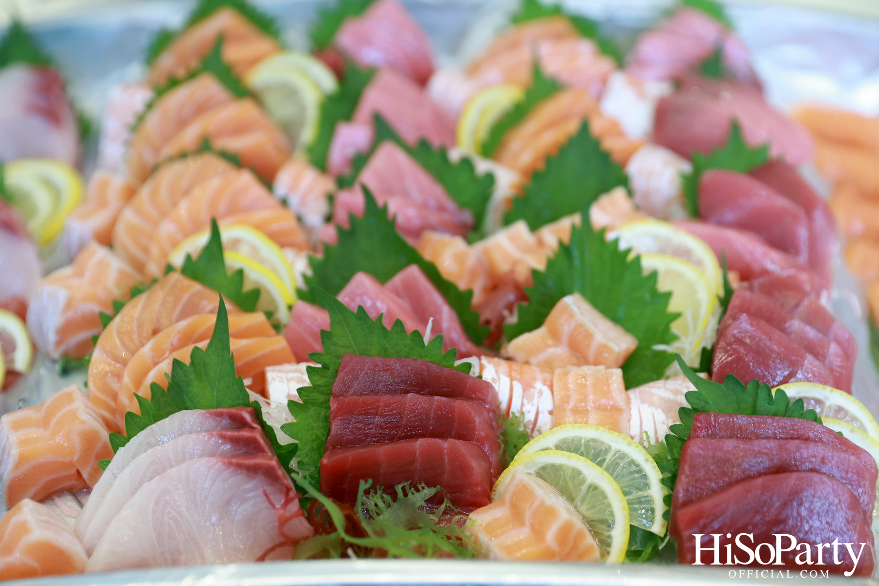 HiSoParty Magazine X AERIE