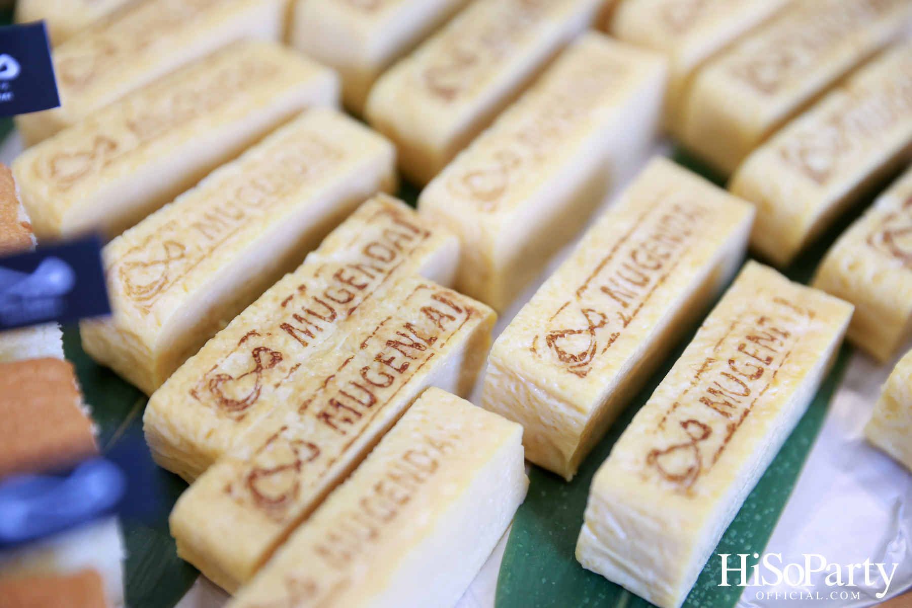 HiSoParty Magazine X AERIE