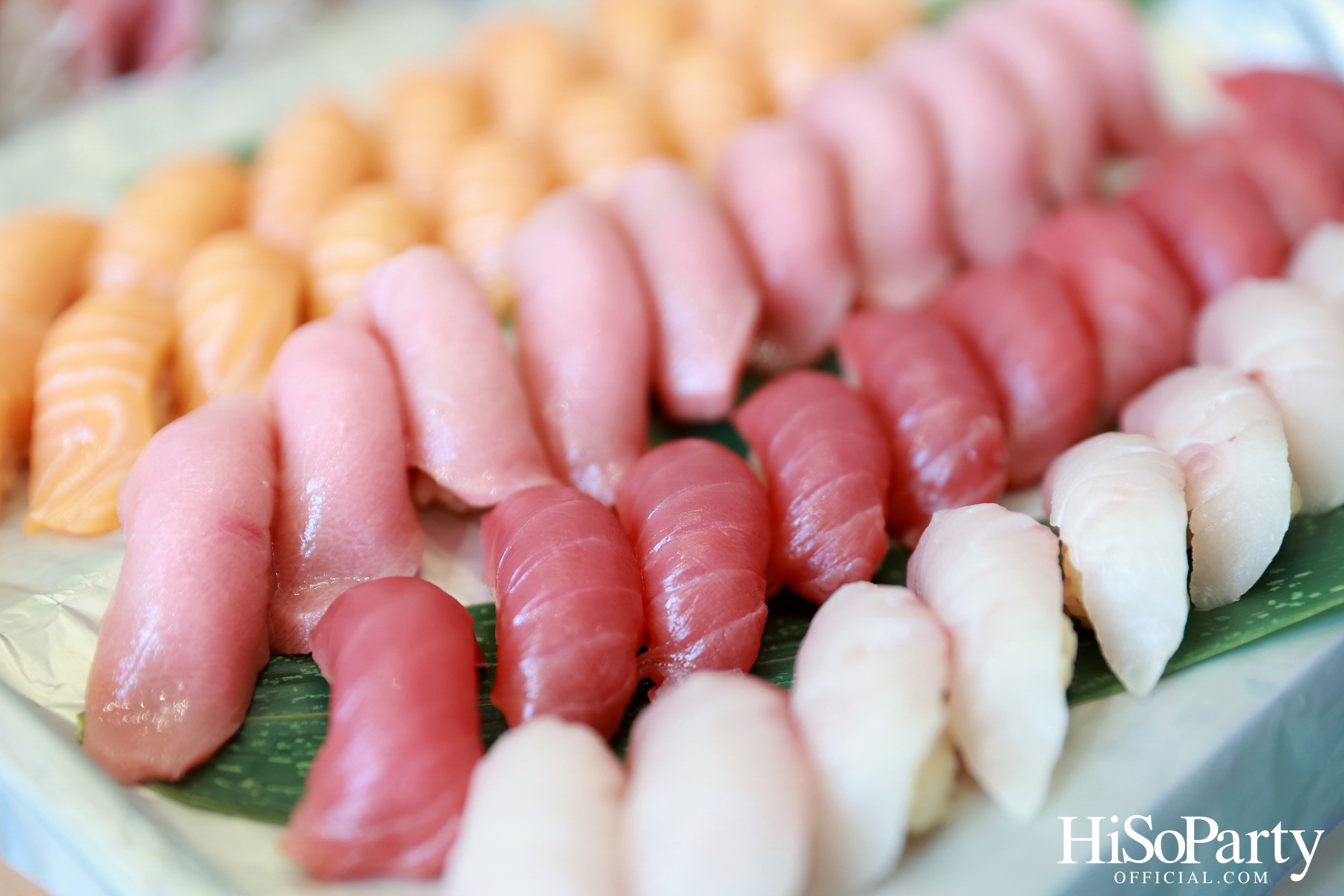 HiSoParty Magazine X AERIE