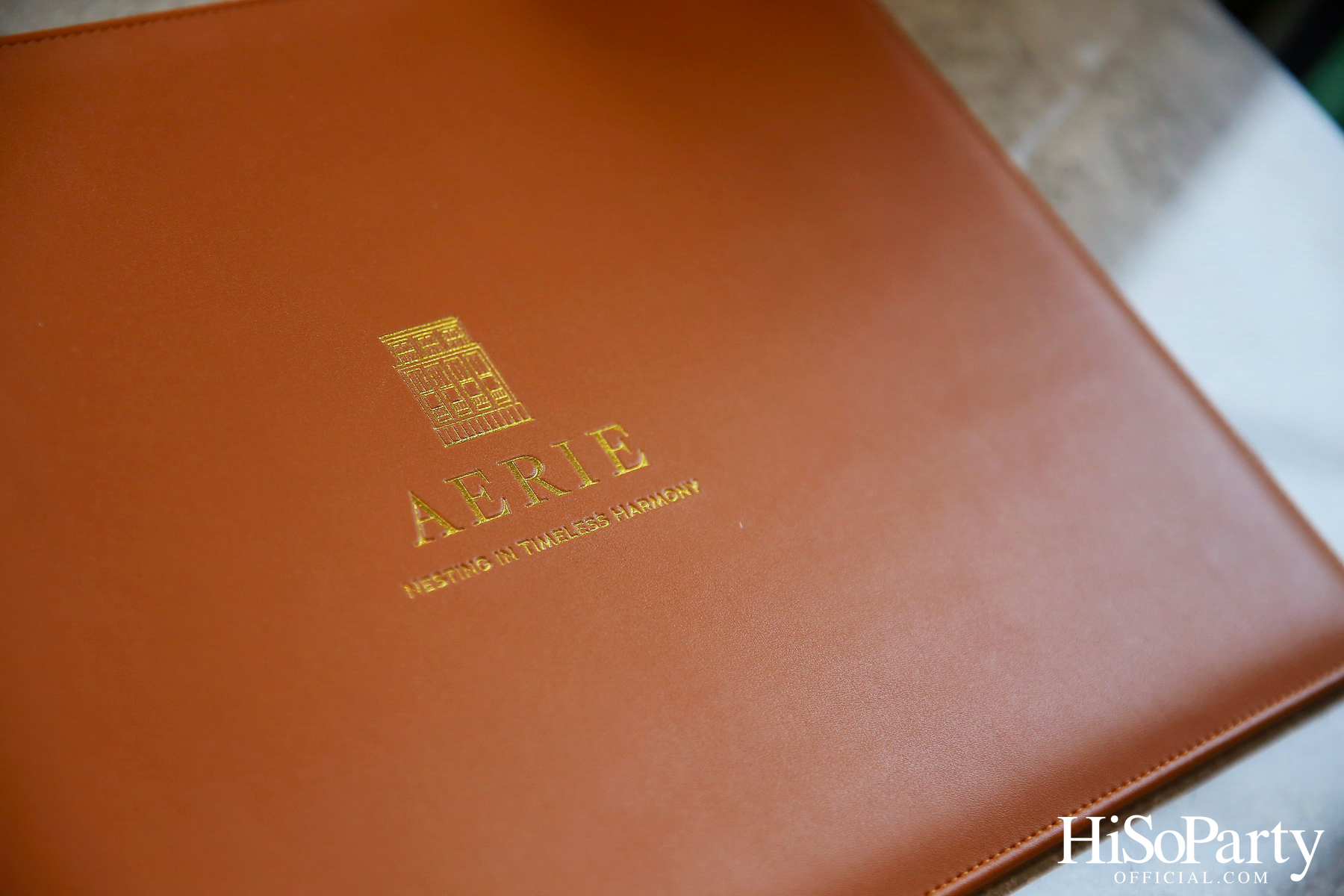 HiSoParty Magazine X AERIE