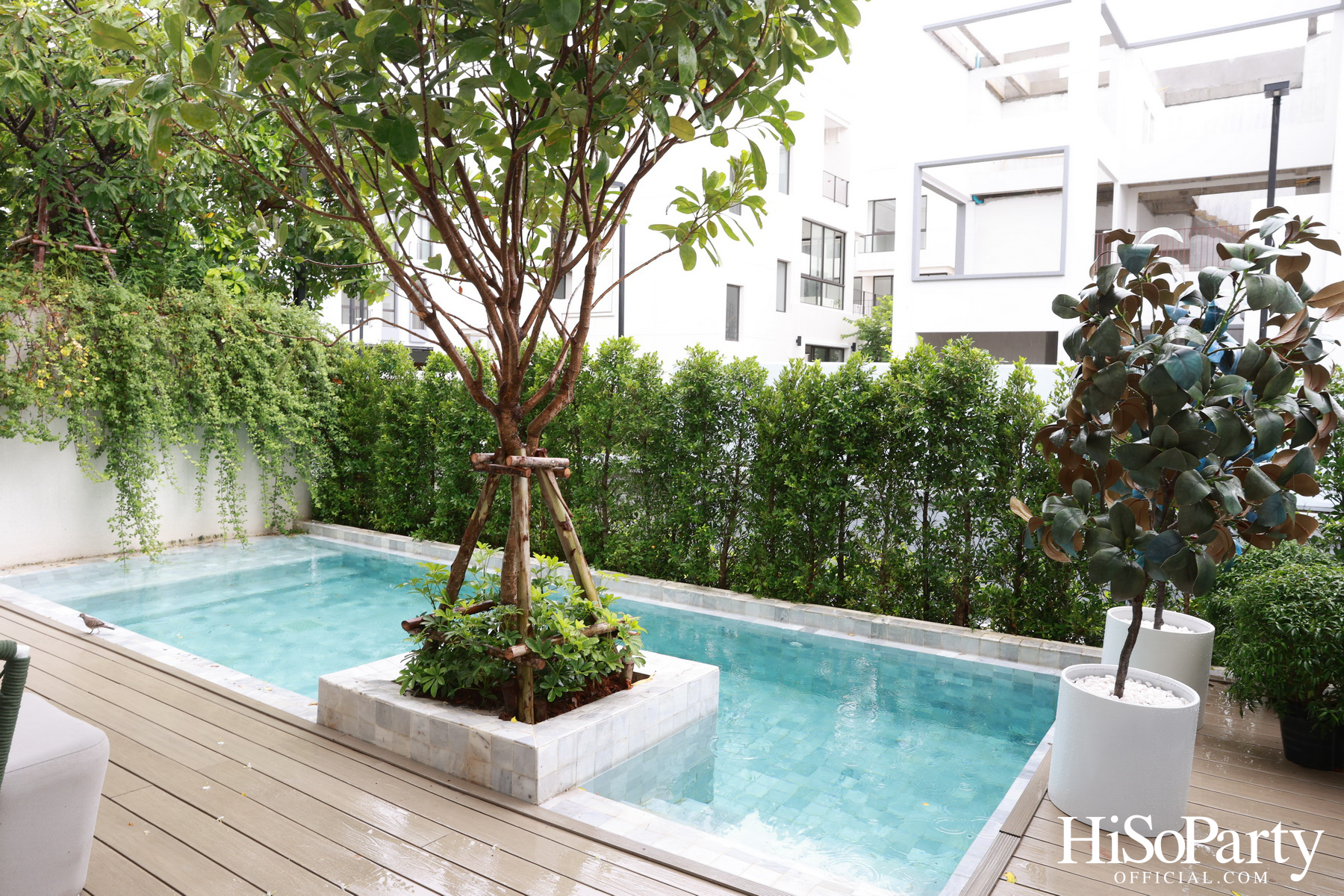 HiSoParty Magazine X AERIE