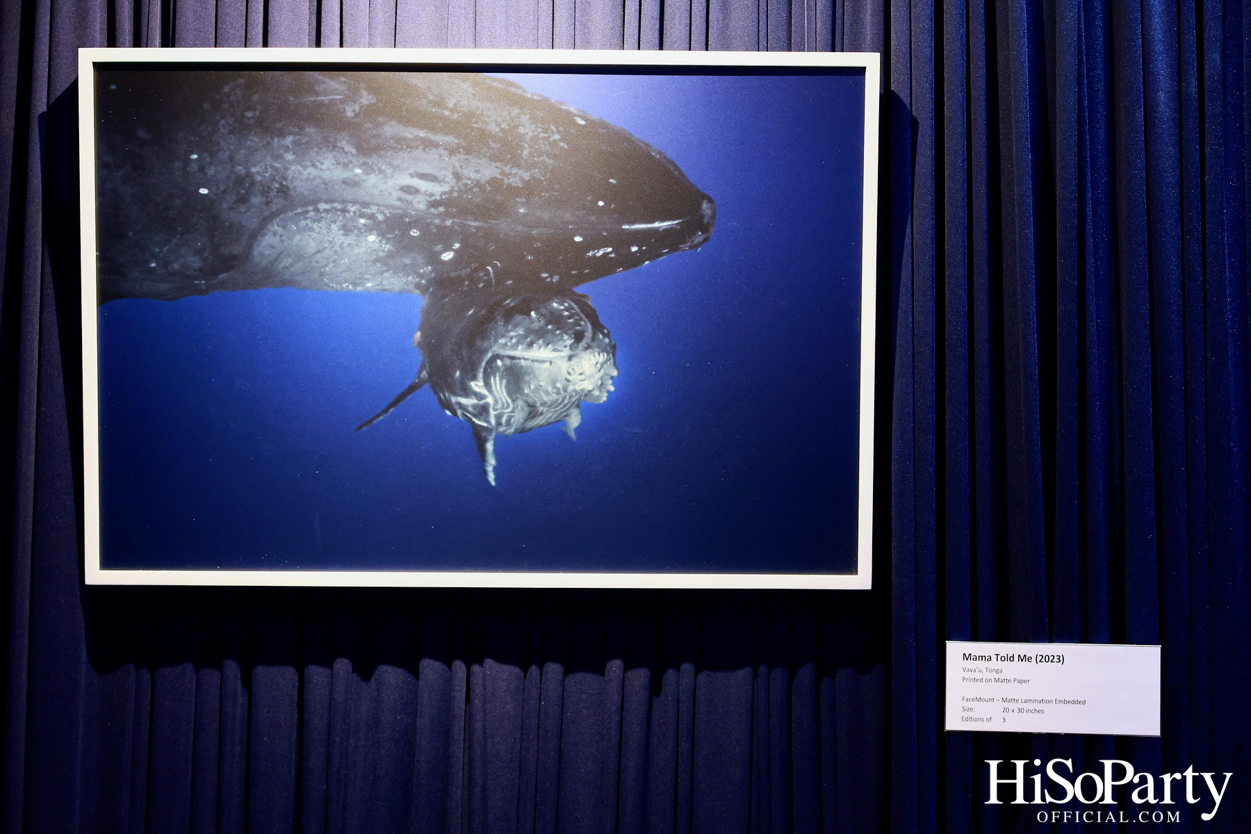 งานเปิด ‘ECHOES’ นิทรรศการภาพถ่าย โดย นันทญา ภิรมย์ภักดี