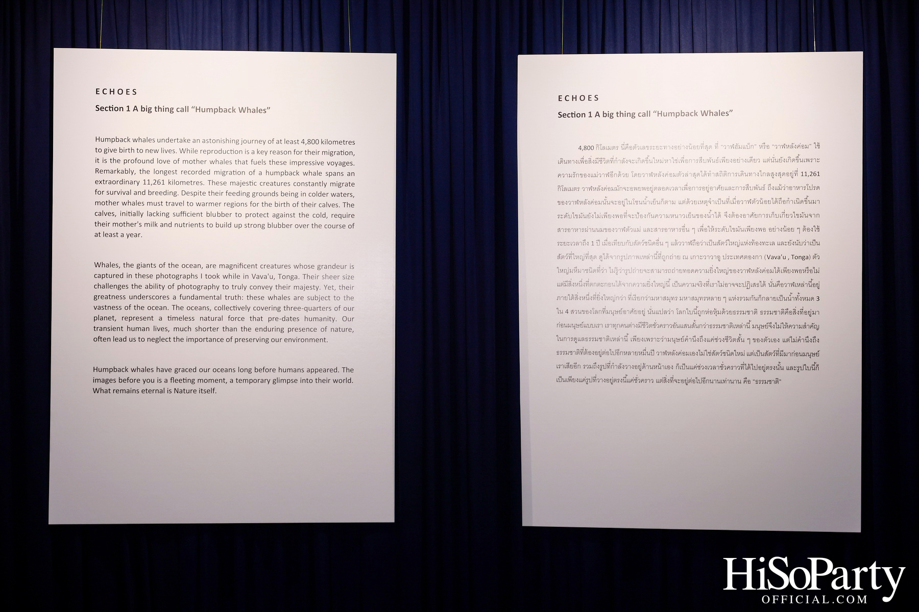 งานเปิด ‘ECHOES’ นิทรรศการภาพถ่าย โดย นันทญา ภิรมย์ภักดี