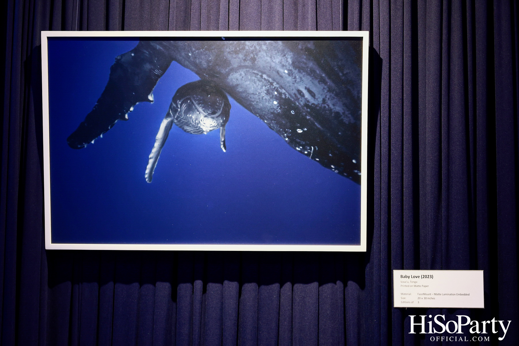 งานเปิด ‘ECHOES’ นิทรรศการภาพถ่าย โดย นันทญา ภิรมย์ภักดี