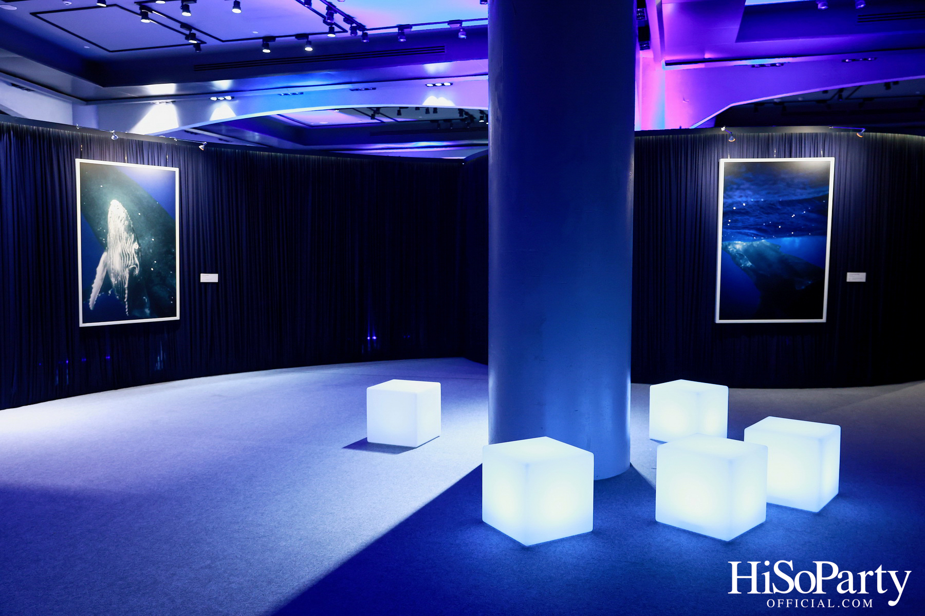 งานเปิด ‘ECHOES’ นิทรรศการภาพถ่าย โดย นันทญา ภิรมย์ภักดี