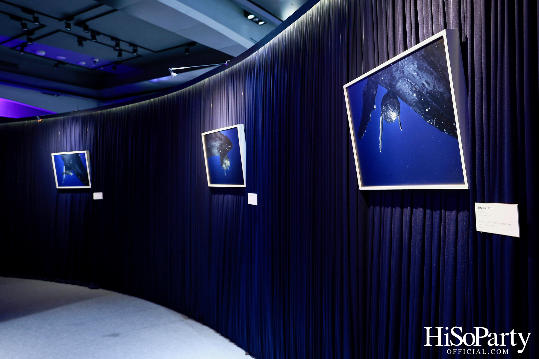 งานเปิด ‘ECHOES’ นิทรรศการภาพถ่าย โดย นันทญา ภิรมย์ภักดี