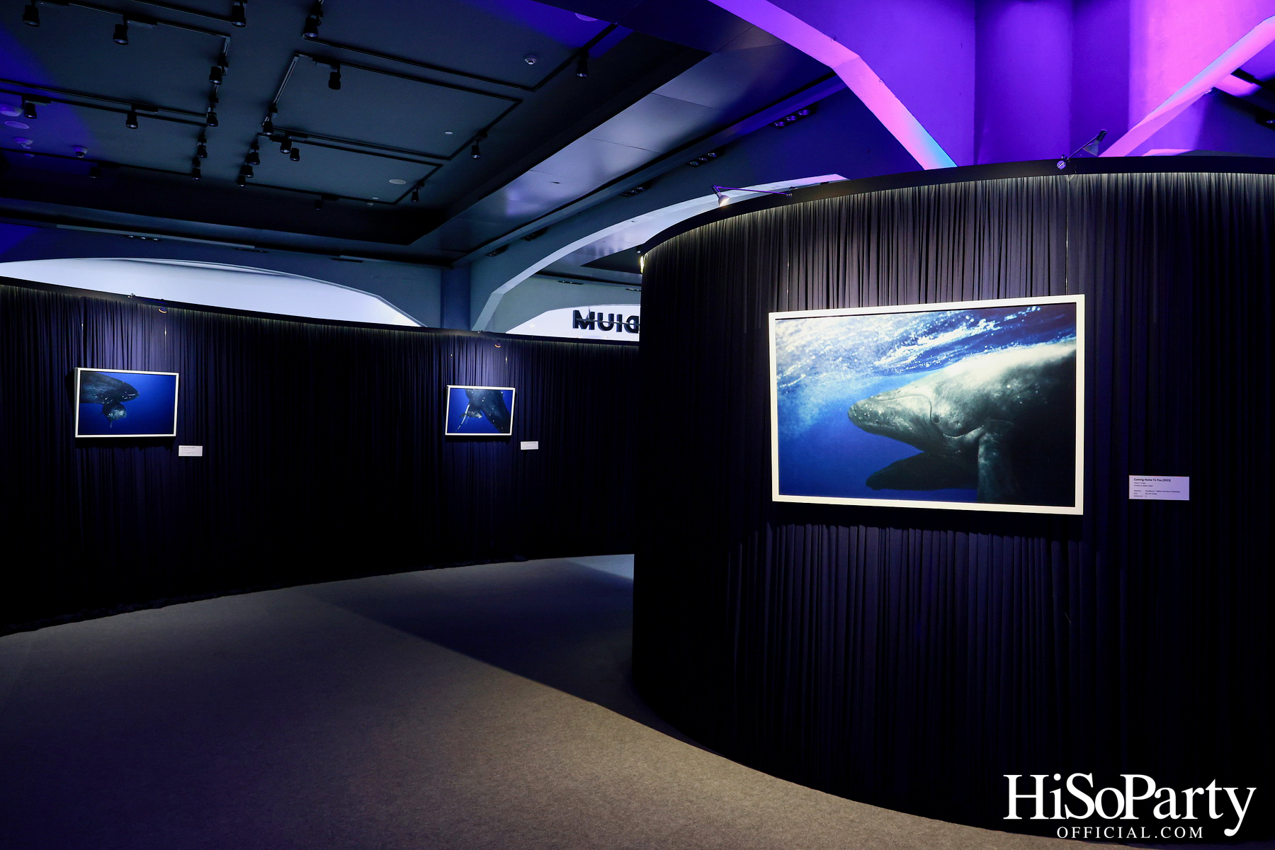 งานเปิด ‘ECHOES’ นิทรรศการภาพถ่าย โดย นันทญา ภิรมย์ภักดี