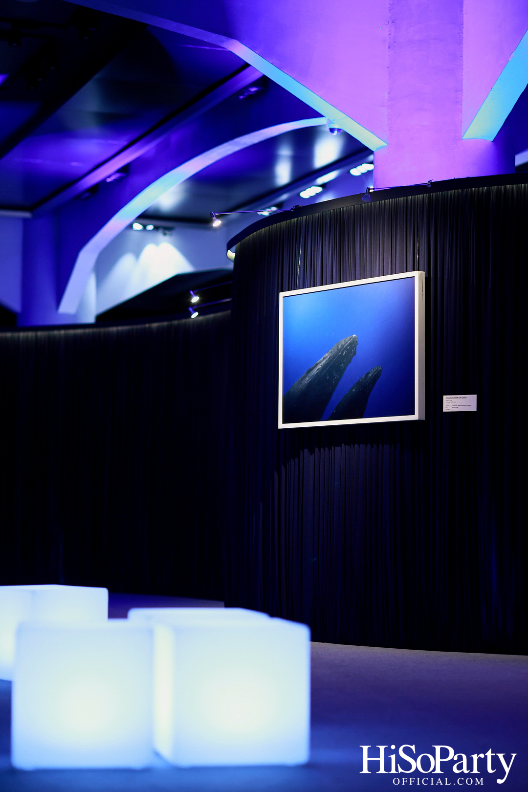 งานเปิด ‘ECHOES’ นิทรรศการภาพถ่าย โดย นันทญา ภิรมย์ภักดี