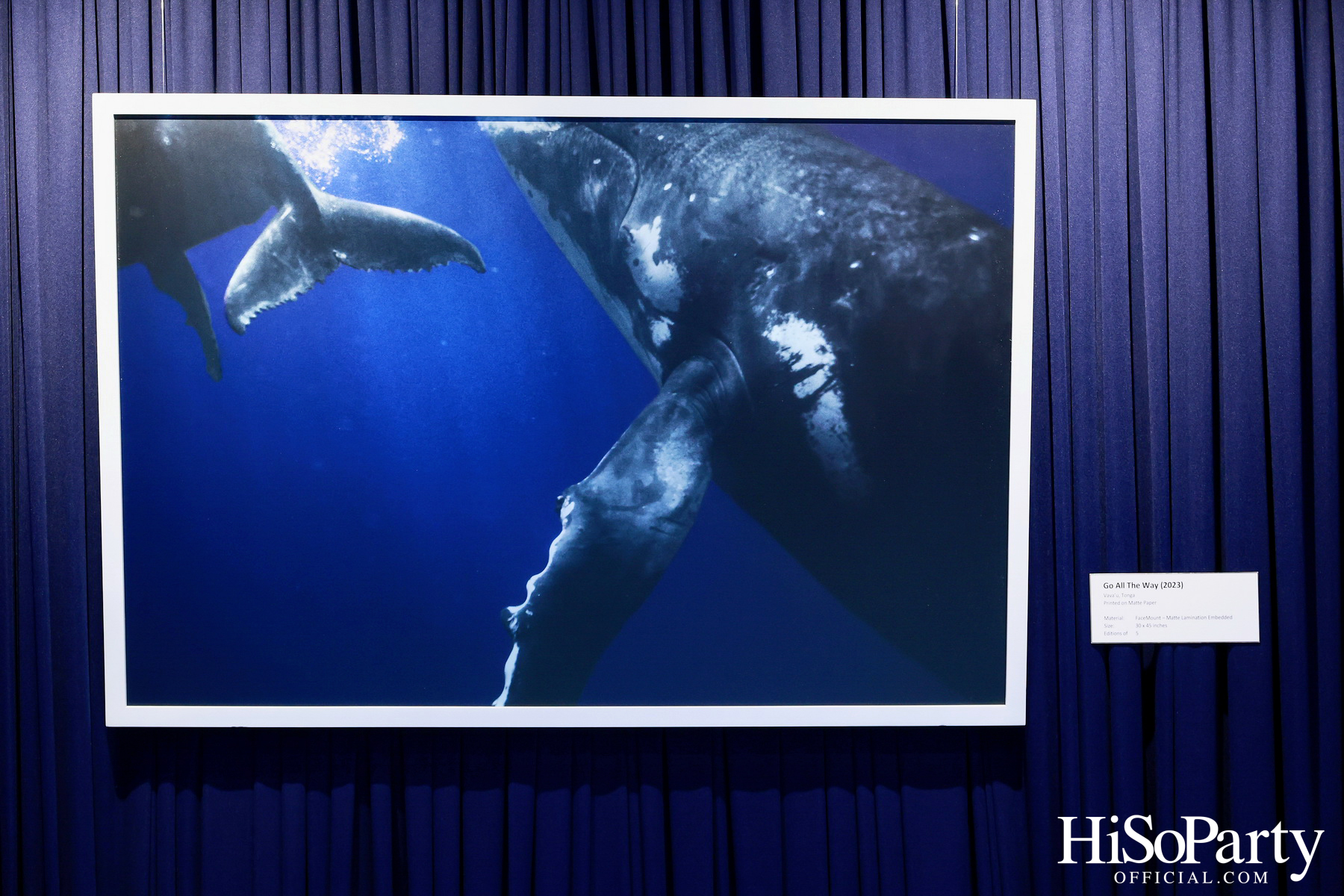 งานเปิด ‘ECHOES’ นิทรรศการภาพถ่าย โดย นันทญา ภิรมย์ภักดี