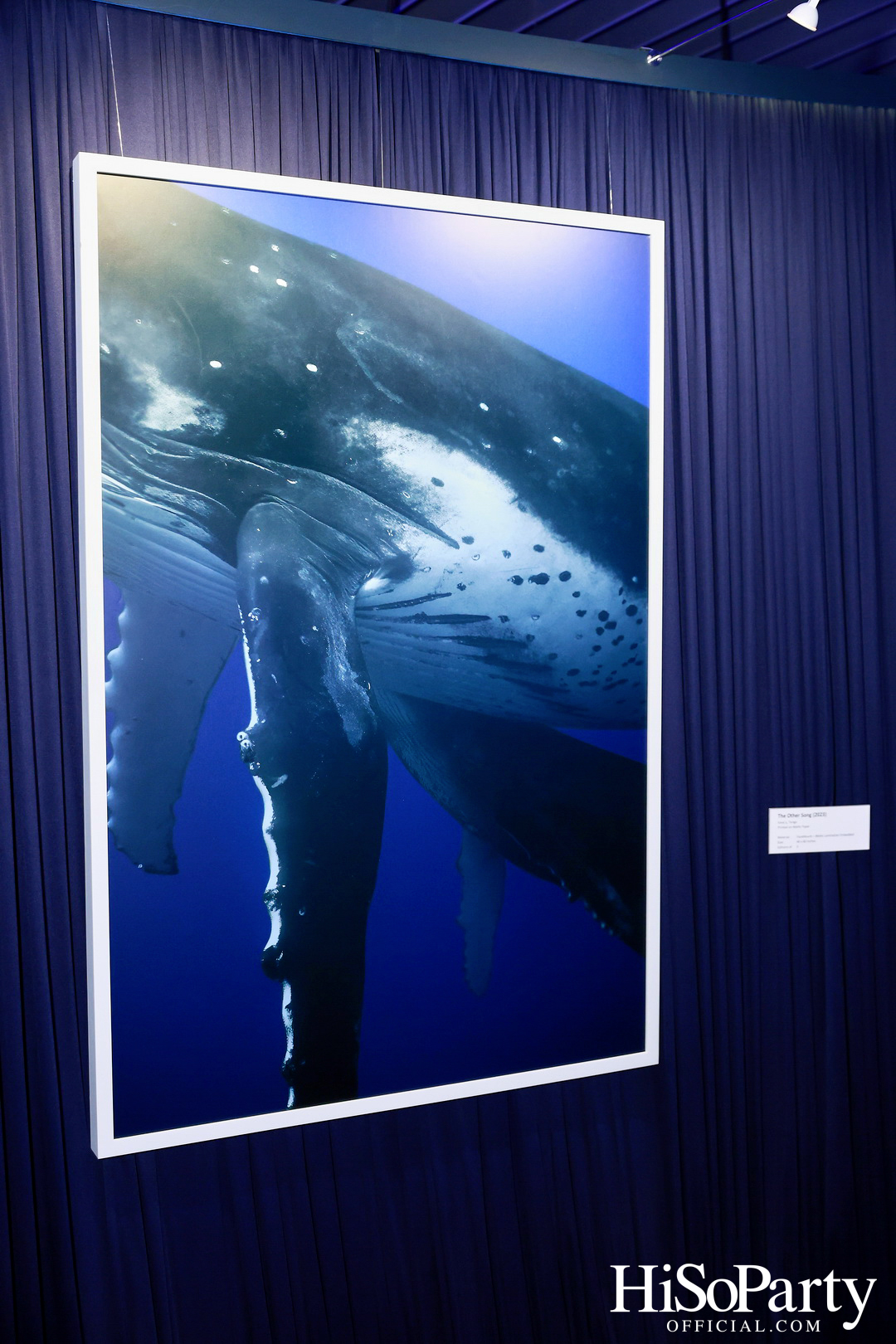 งานเปิด ‘ECHOES’ นิทรรศการภาพถ่าย โดย นันทญา ภิรมย์ภักดี