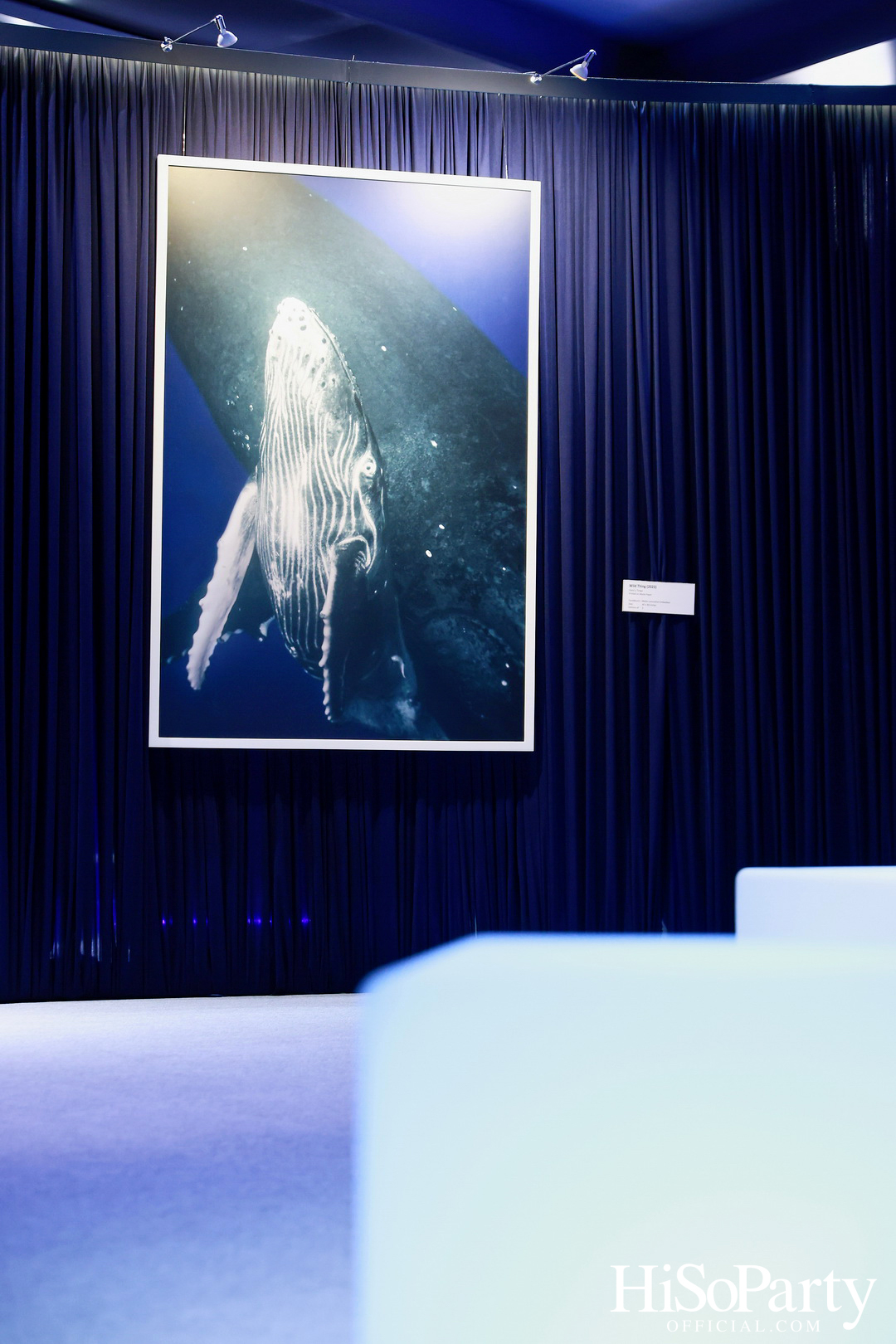 งานเปิด ‘ECHOES’ นิทรรศการภาพถ่าย โดย นันทญา ภิรมย์ภักดี