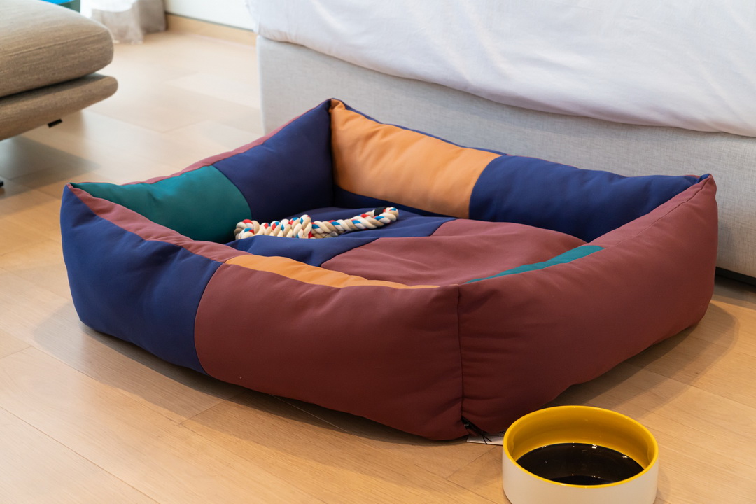 HAY โดย Norse Republics ร่วมกับ สโคป เปิดตัวคอลเลกชั่นสำหรับสุนัข HAY Dogs จากสแกนดิเนเวีย อย่างเป็นทางการ