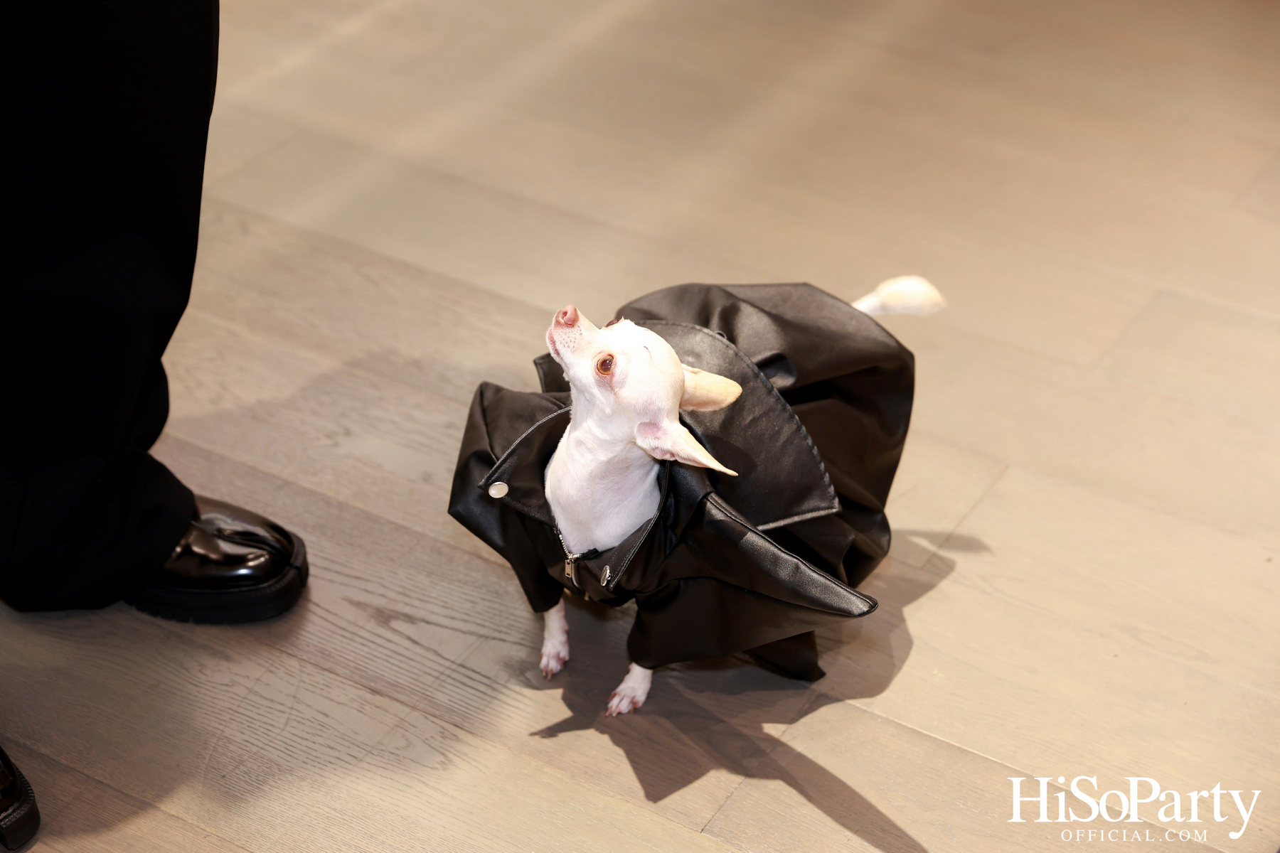 The Launch of ‘Marc Jacobs Fall/Winter 2024' Collection