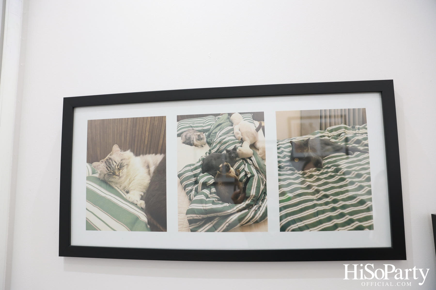 งานแถลงข่าว ‘Siam Center X JAY B The 2nd Exhibition in Bangkok: RE LOAD’