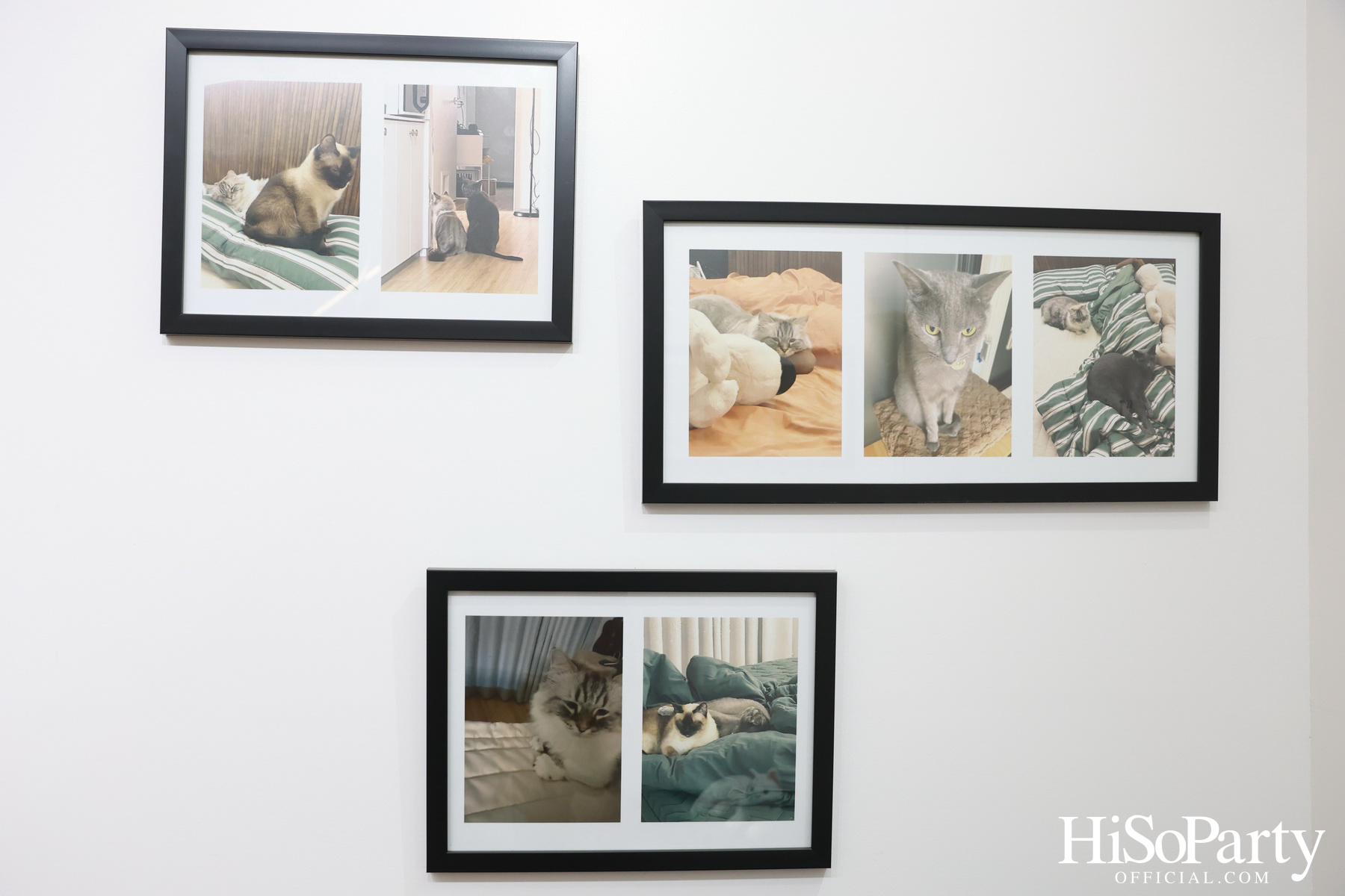 งานแถลงข่าว ‘Siam Center X JAY B The 2nd Exhibition in Bangkok: RE LOAD’