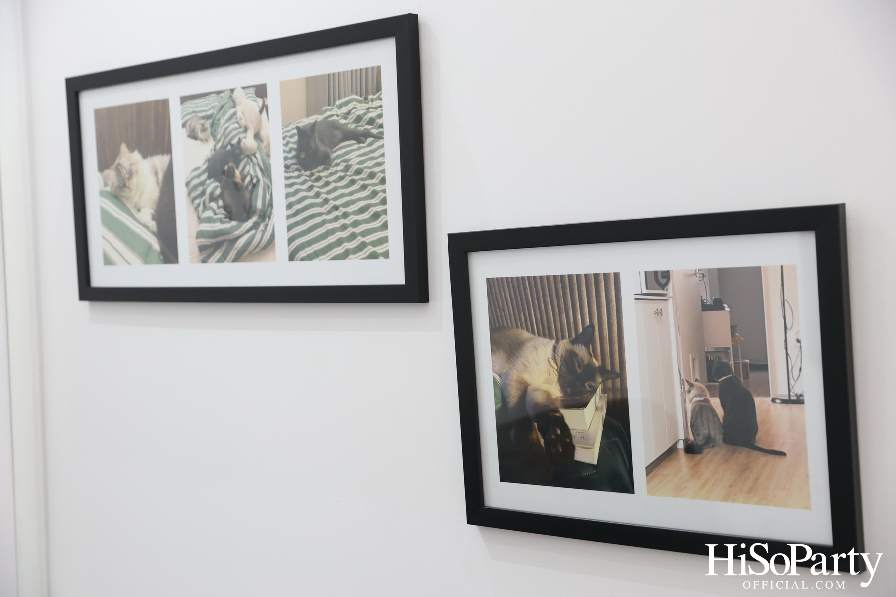 งานแถลงข่าว ‘Siam Center X JAY B The 2nd Exhibition in Bangkok: RE LOAD’