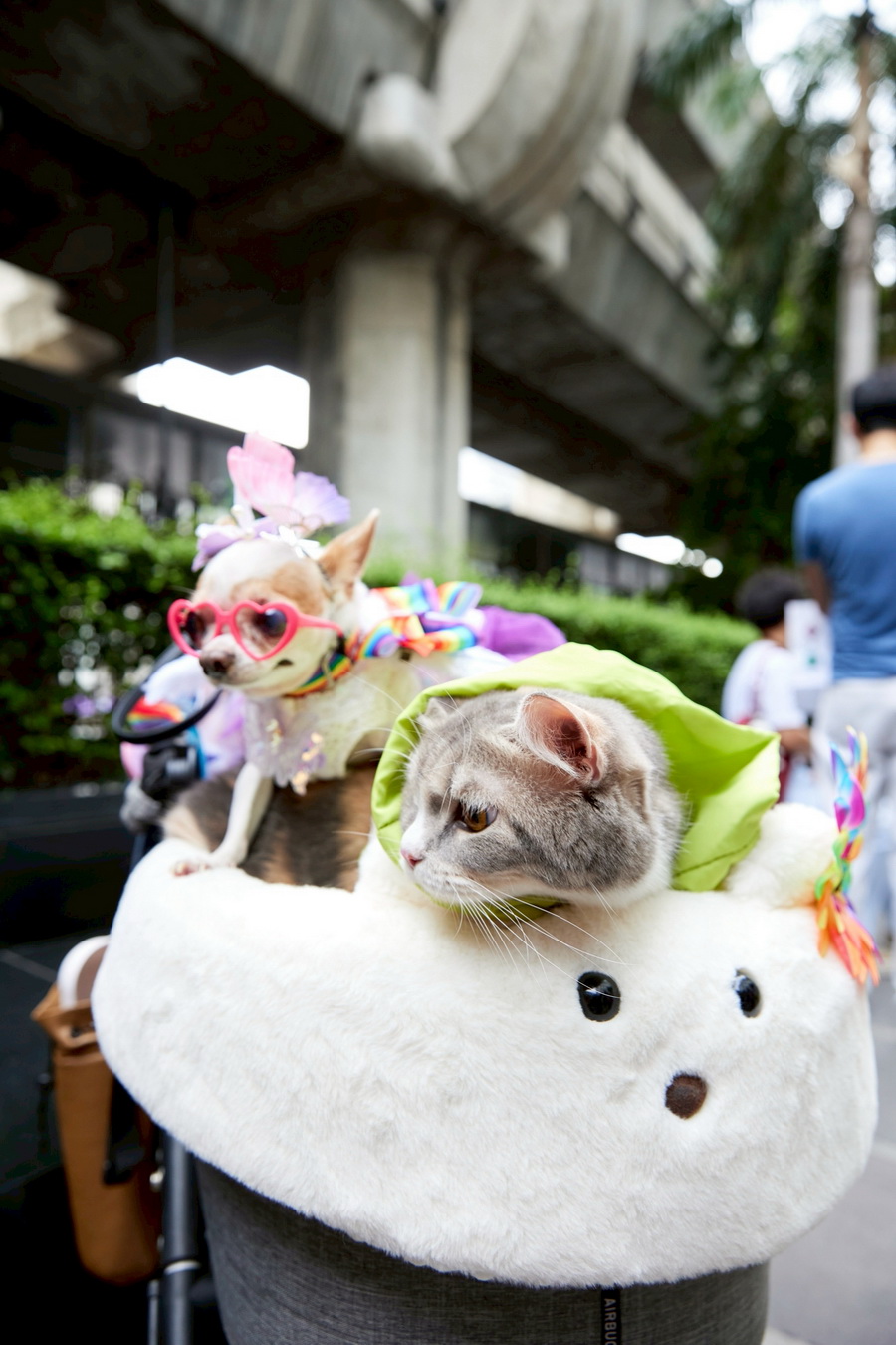 Central Pride Month 2025 ห้างเซ็นทรัล จุดพลังแห่งความหลากหลายทั่วไทย พร้อมเฉลิมฉลอง ‘Pride Month’ ด้วยกิจกรรมสุดคัลเลอร์ฟูล