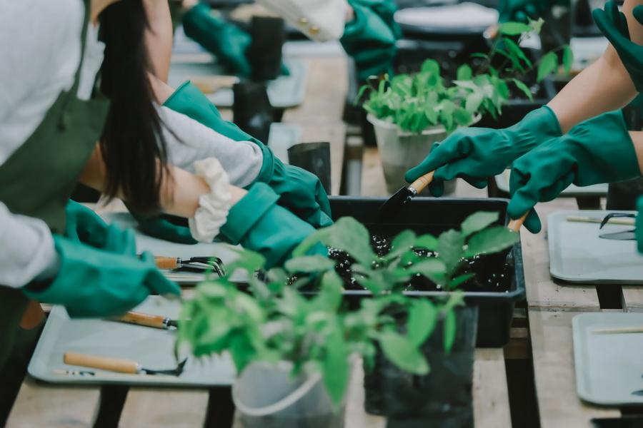 EM DISTRICT ชวน 15 หนุ่มสาว LA BELLE et LE BEAU รุ่น 2 ร่วมกิจกรรมเพื่อสังคม ปลูกต้นกล้าเพื่อโลกสีเขียว