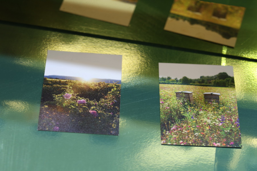 GUERLAIN เปิดตัวน้ำหอมใหม่ VÉTIVER FAUVE ผลงานล่าสุดจากคอลเลกชัน L’Art & La Matière