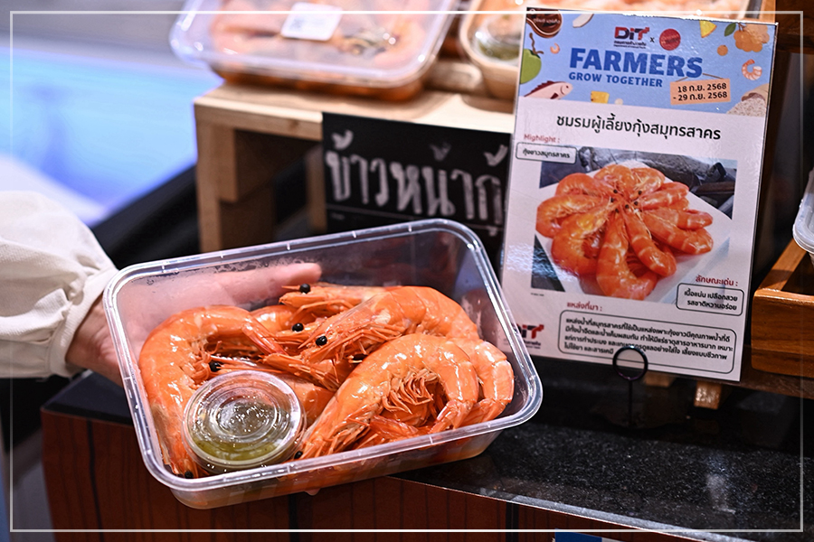 ‘DIT X Gourmet Market Farmers Grow Together’ สนับสนุนเกษตรกรไทย โดย กรมการค้าภายใน จับมือ กูร์เมต์ มาร์เก็ต