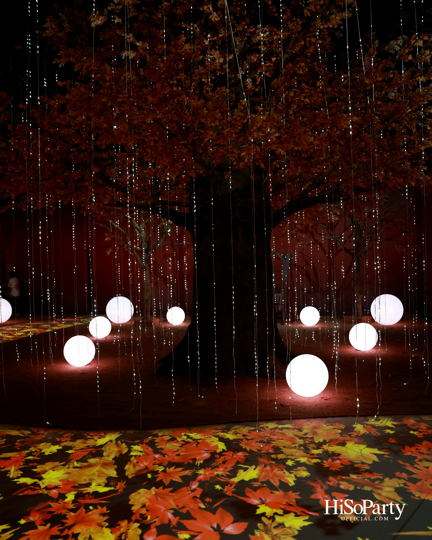 ‘BLOOM in Four Seasons – The Heart-Blossoming Immersive Experience’ เปิดโลกแห่งศิลปะที่ฮีลใจ ณ ไอคอนสยาม