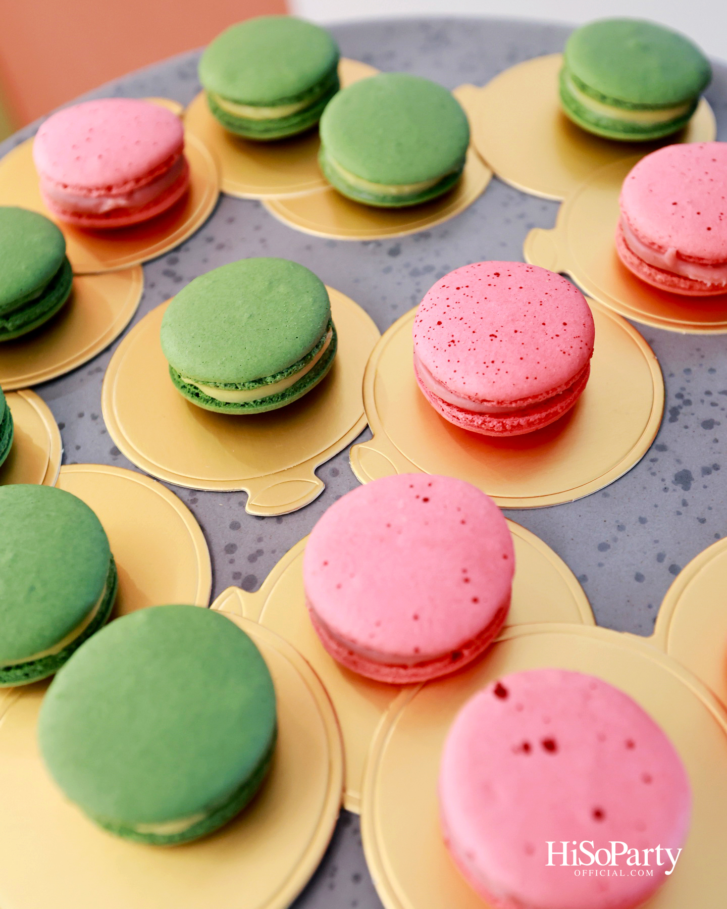 ‘WICKED: FOR GOOD EXPERIENCE’ ครั้งแรกในประเทศไทย ณ ห้างเซ็นทรัลชิดลม