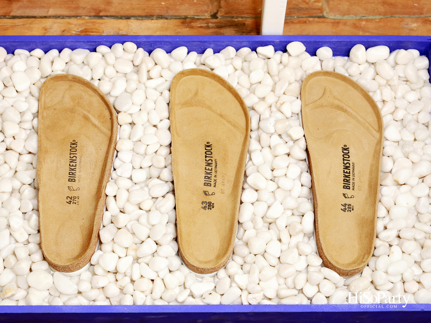 BIRKENSTOCK Presents ‘The Art of Walking Grounded in Nature with Suntur’