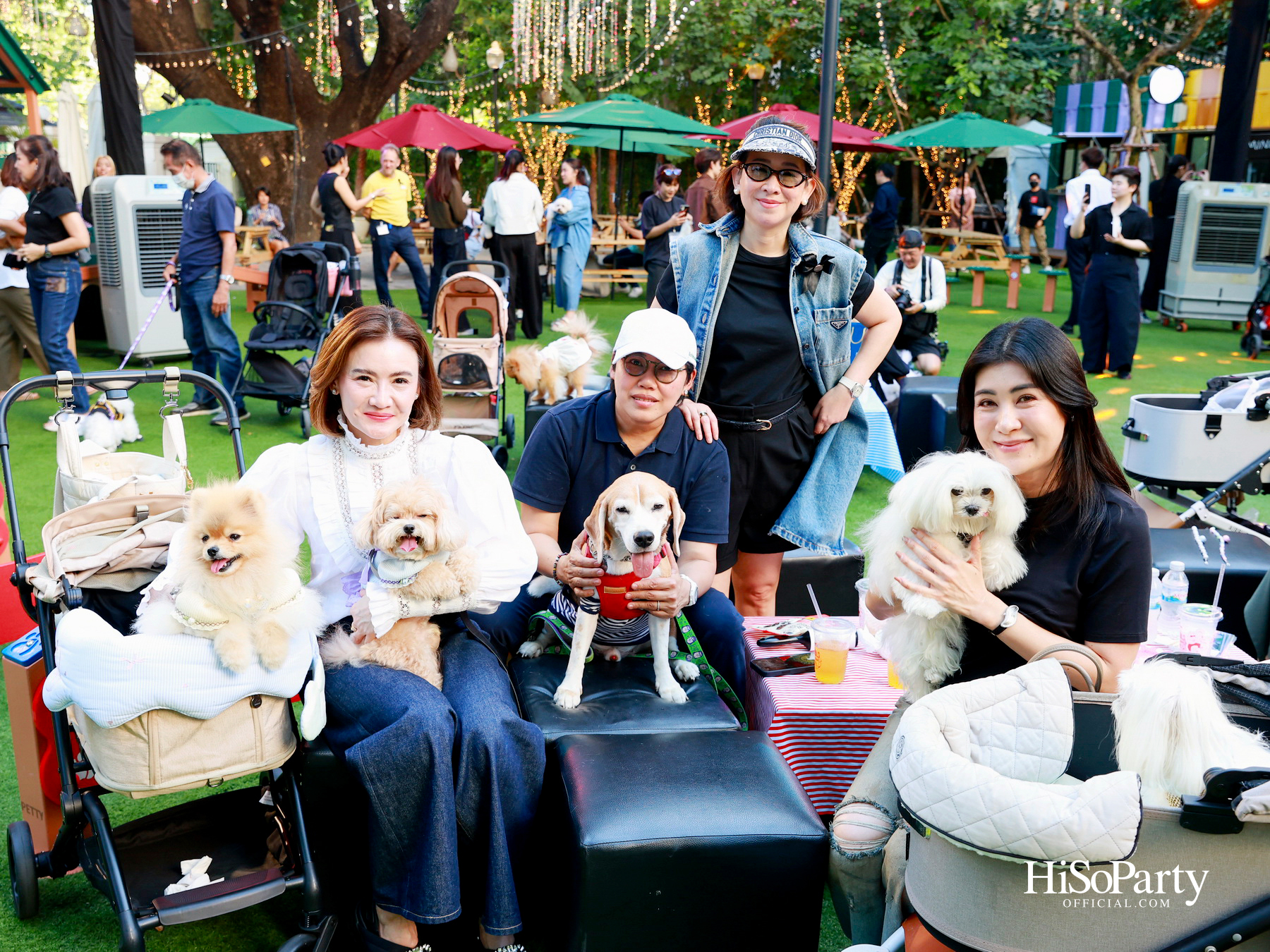 เอ็ม ดิสทริคยกระดับประสบการณ์ Pet-friendly เปิดตัว ‘PAW YARD’ สวนกลางเมืองสำหรับคนรักสัตว์เลี้ยง