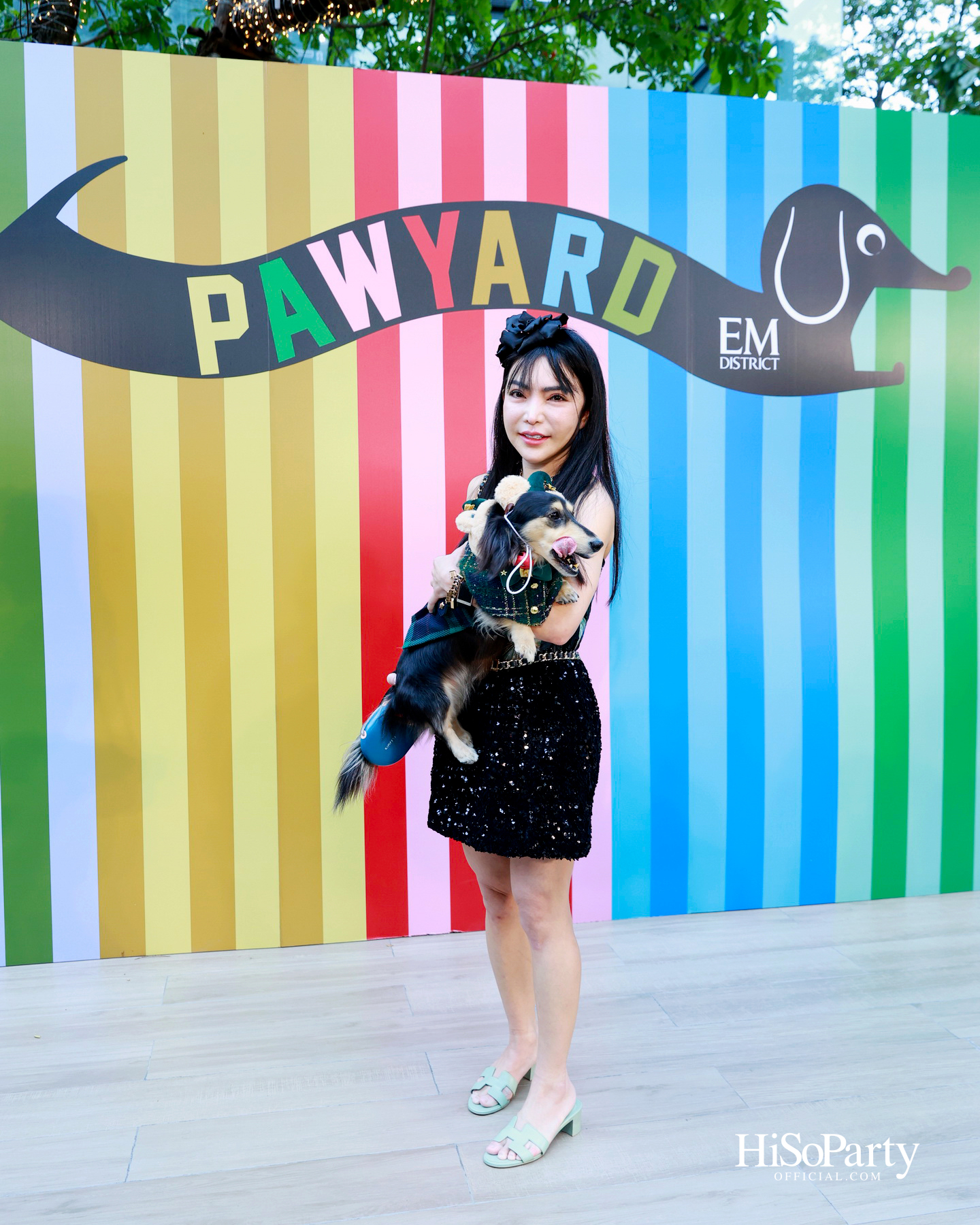 เอ็ม ดิสทริคยกระดับประสบการณ์ Pet-friendly เปิดตัว ‘PAW YARD’ สวนกลางเมืองสำหรับคนรักสัตว์เลี้ยง