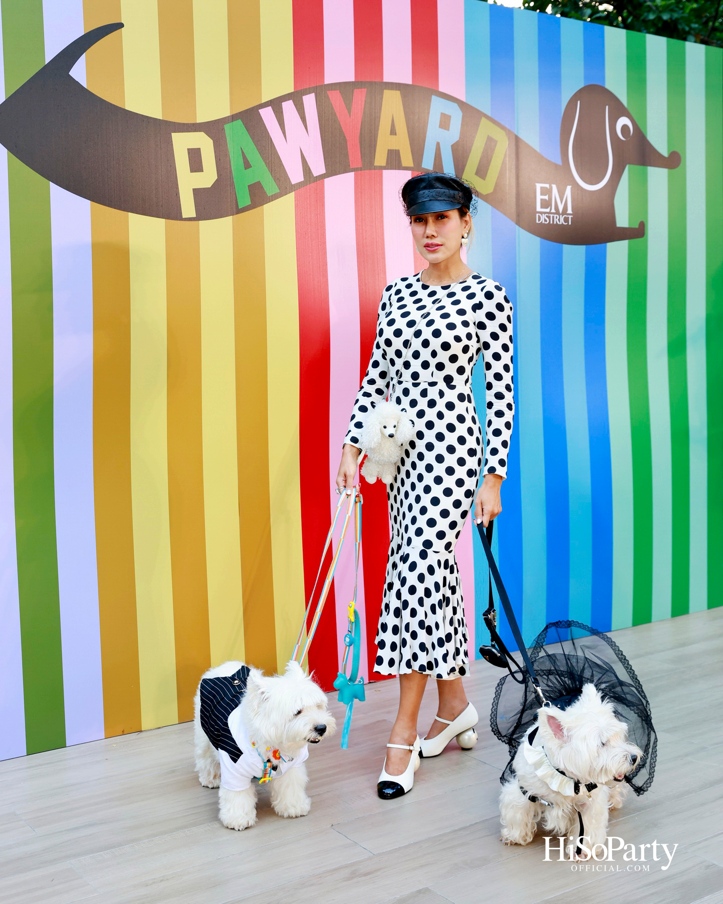 เอ็ม ดิสทริคยกระดับประสบการณ์ Pet-friendly เปิดตัว ‘PAW YARD’ สวนกลางเมืองสำหรับคนรักสัตว์เลี้ยง