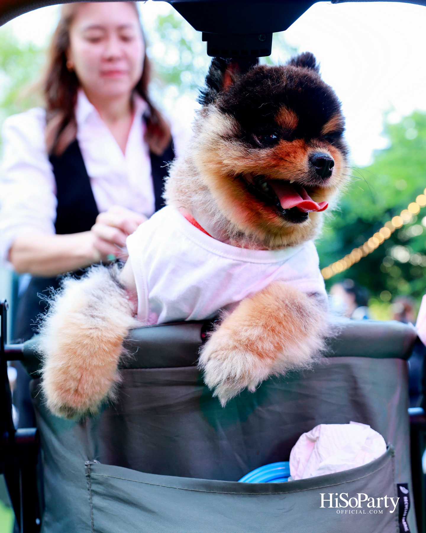 เอ็ม ดิสทริคยกระดับประสบการณ์ Pet-friendly เปิดตัว ‘PAW YARD’ สวนกลางเมืองสำหรับคนรักสัตว์เลี้ยง