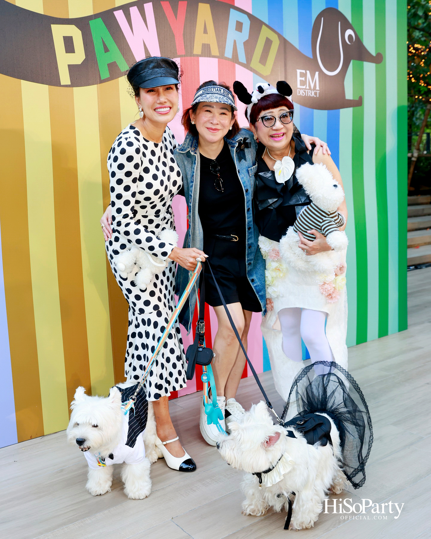 เอ็ม ดิสทริคยกระดับประสบการณ์ Pet-friendly เปิดตัว ‘PAW YARD’ สวนกลางเมืองสำหรับคนรักสัตว์เลี้ยง