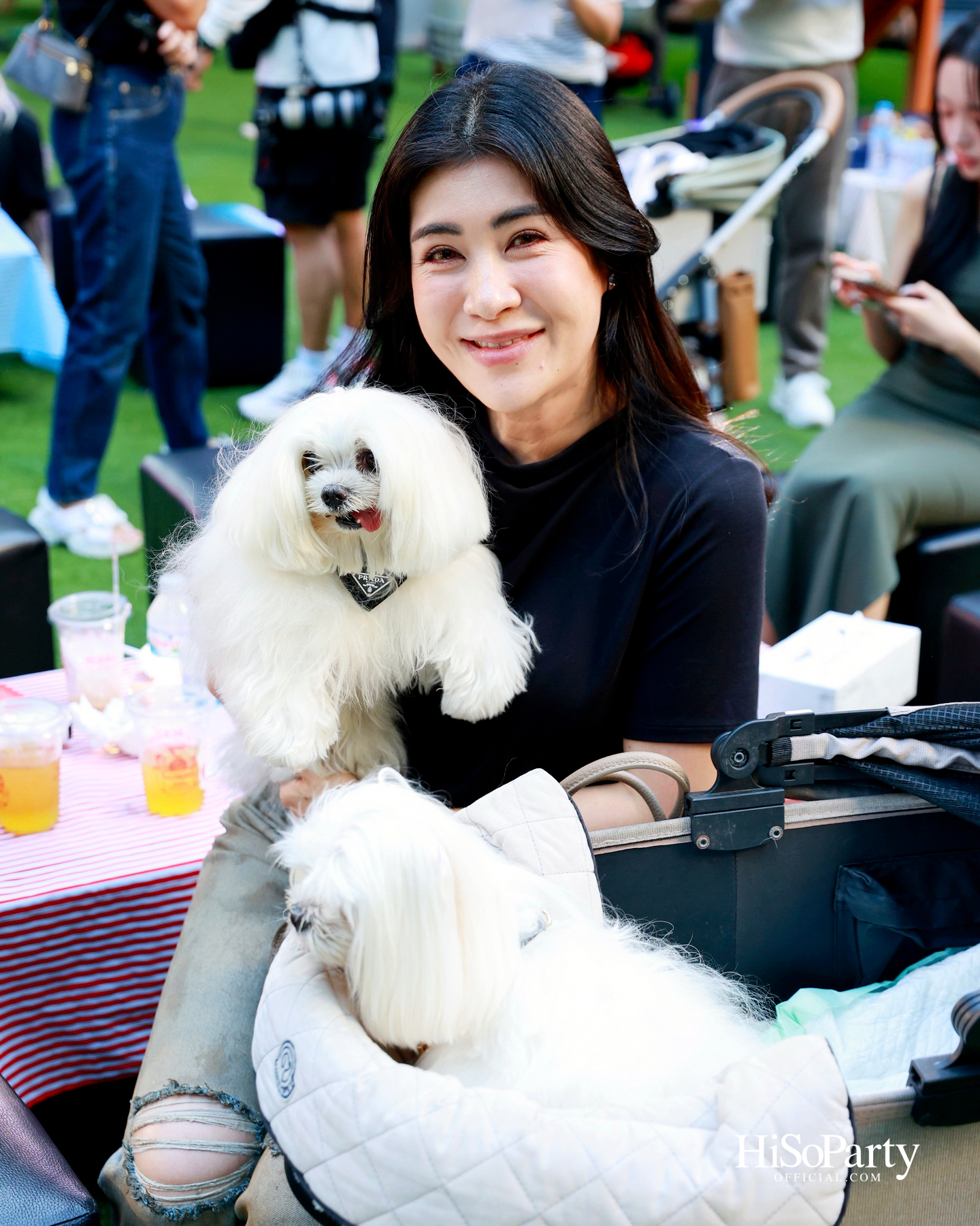 เอ็ม ดิสทริคยกระดับประสบการณ์ Pet-friendly เปิดตัว ‘PAW YARD’ สวนกลางเมืองสำหรับคนรักสัตว์เลี้ยง