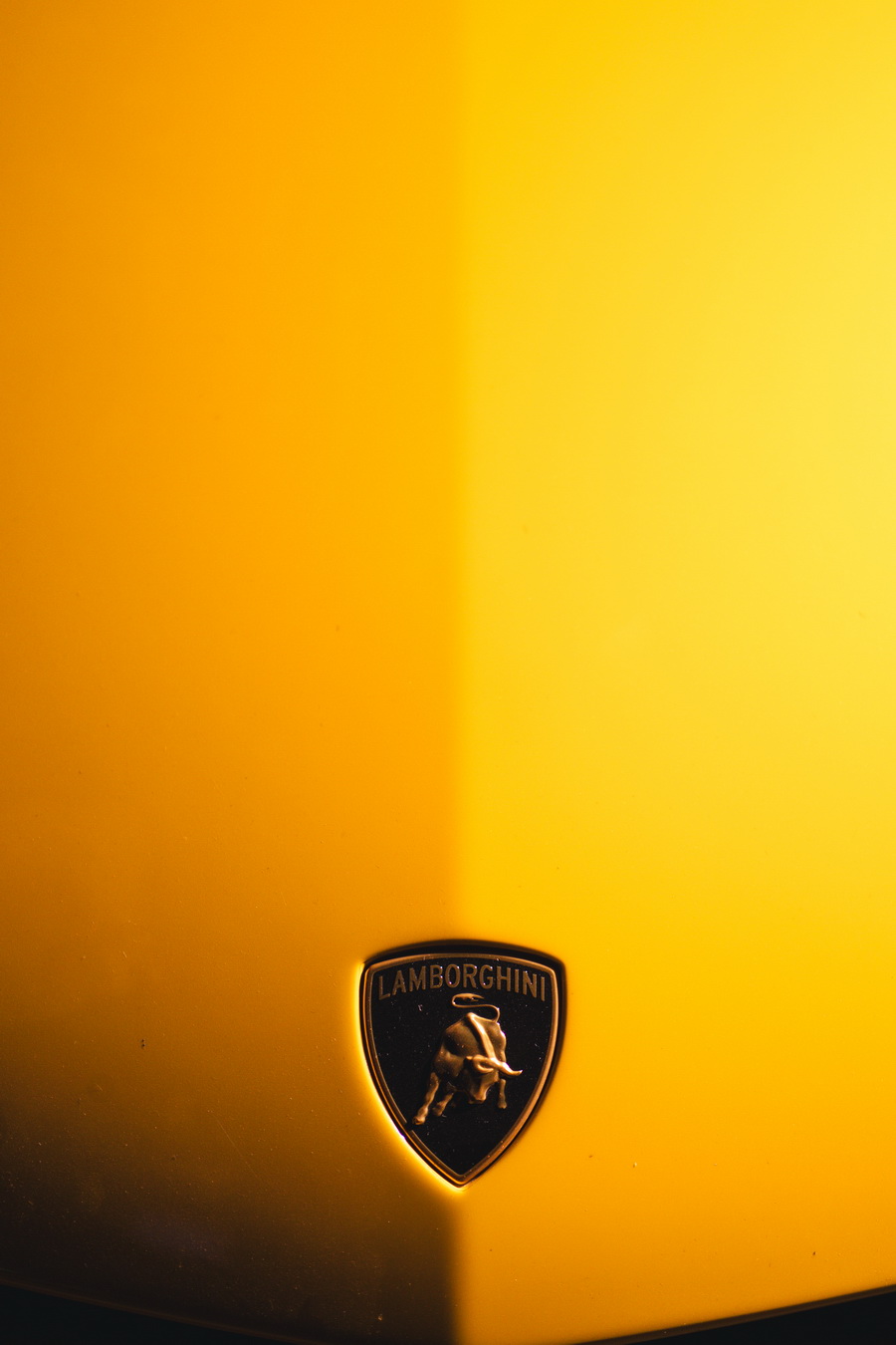 LAMBORGHINI NIGHT 2025: Black & White Glamour ค่ำคืนแห่งการเฉลิมฉลองและน้ำใจเพื่อสังคม