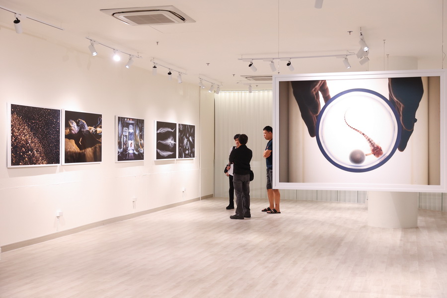 สยามพารากอน ชวนร่วมสัมผัสความงดงาม และอนุรักษ์โลกใต้ท้องทะเล ในนิทรรศการ ‘TIDE OF TOMORROW’ ตั้งแต่วันนี้ถึง 5 มกราคม 2569