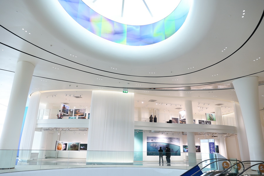 สยามพารากอน ชวนร่วมสัมผัสความงดงาม และอนุรักษ์โลกใต้ท้องทะเล ในนิทรรศการ ‘TIDE OF TOMORROW’ ตั้งแต่วันนี้ถึง 5 มกราคม 2569