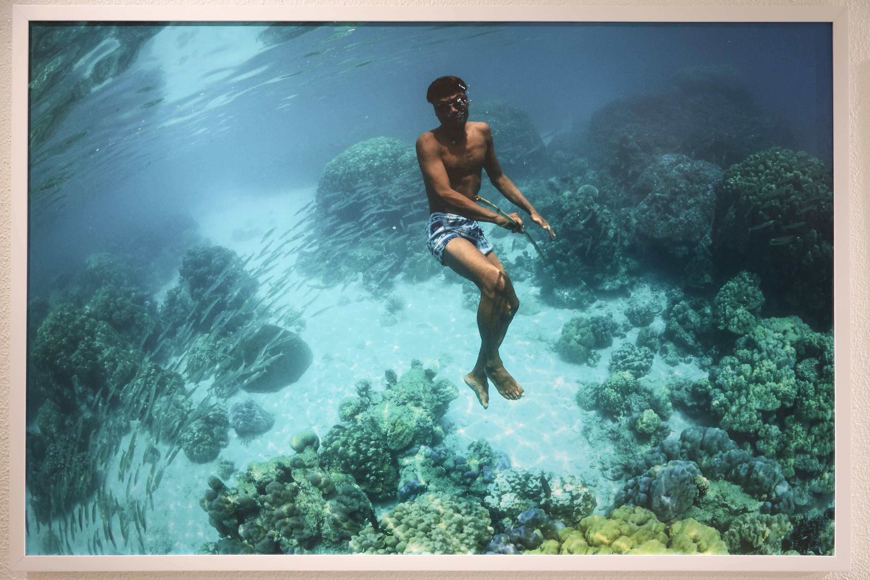 สยามพารากอน ชวนร่วมสัมผัสความงดงาม และอนุรักษ์โลกใต้ท้องทะเล ในนิทรรศการ ‘TIDE OF TOMORROW’ ตั้งแต่วันนี้ถึง 5 มกราคม 2569