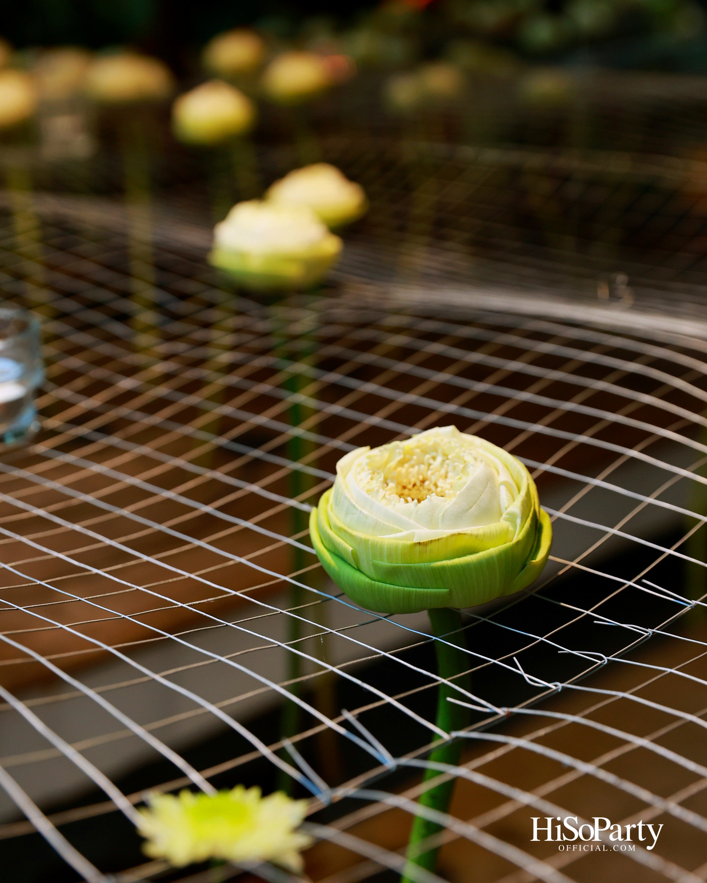 ‘งานดอกไม้ปาร์คนายเลิศ ครั้งที่ 36’ สวนศิลป์แห่งอนาคต ภายใต้คอนเซ็ปต์ ‘Garden of Tomorrow’