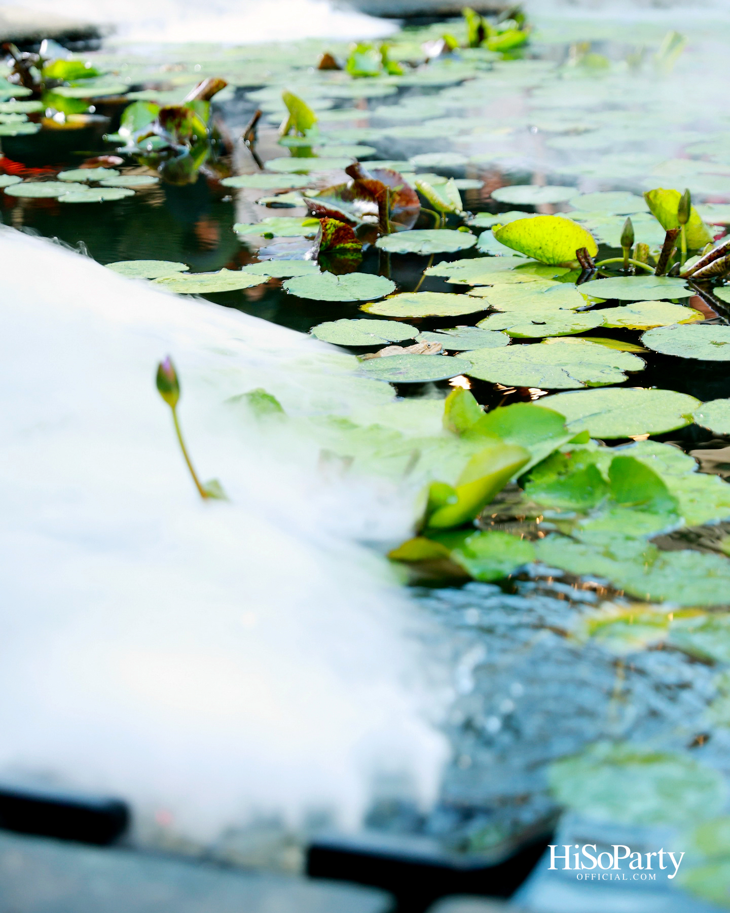 ‘งานดอกไม้ปาร์คนายเลิศ ครั้งที่ 36’ สวนศิลป์แห่งอนาคต ภายใต้คอนเซ็ปต์ ‘Garden of Tomorrow’